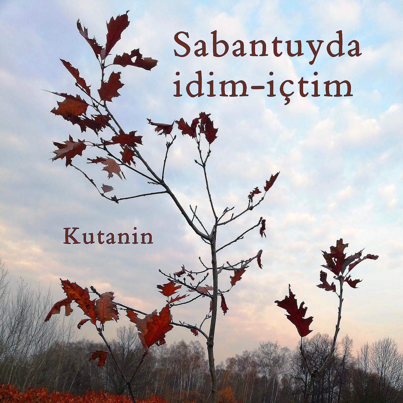 Постер альбома Sabantuyda İdim-İçtim