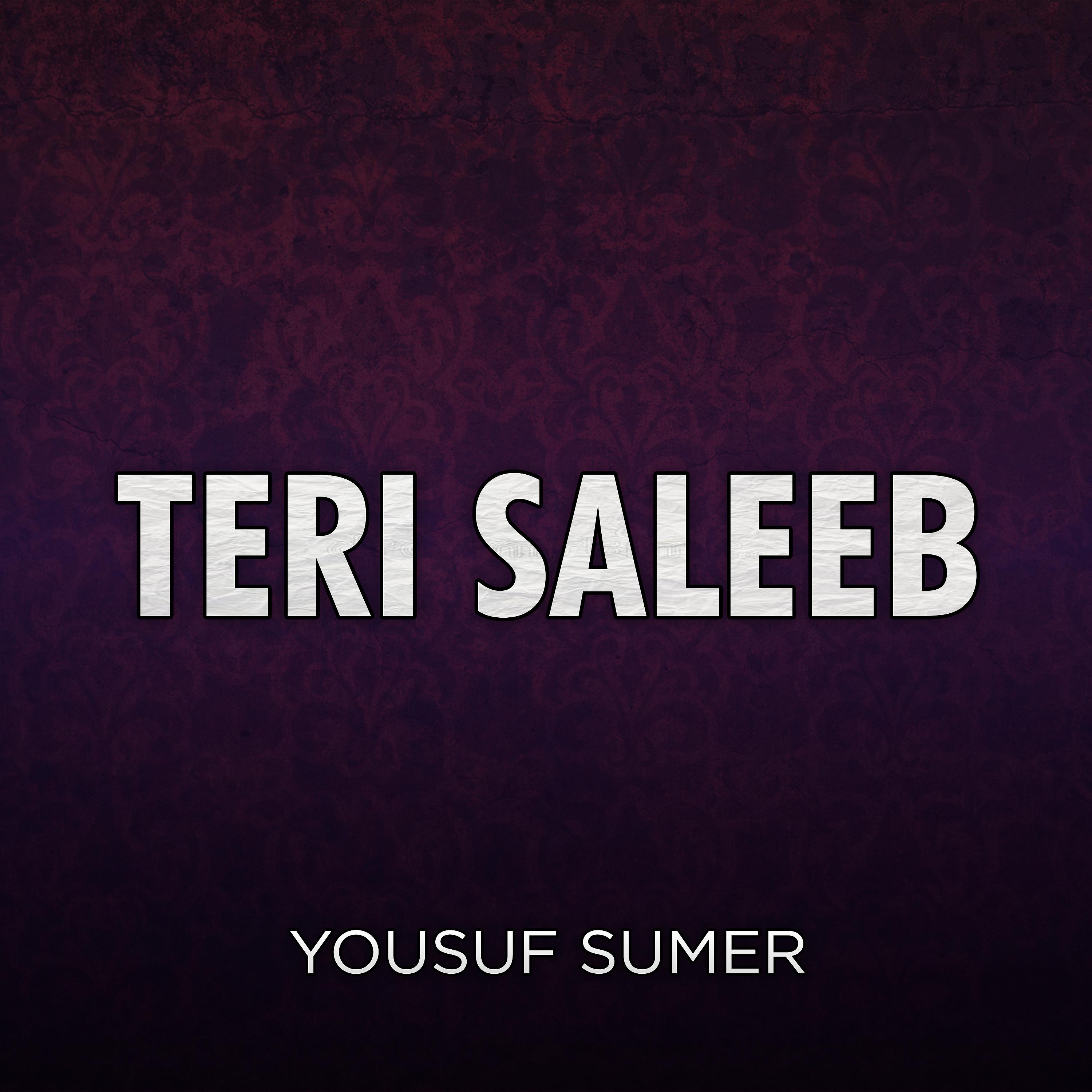 Постер альбома Teri Saleeb