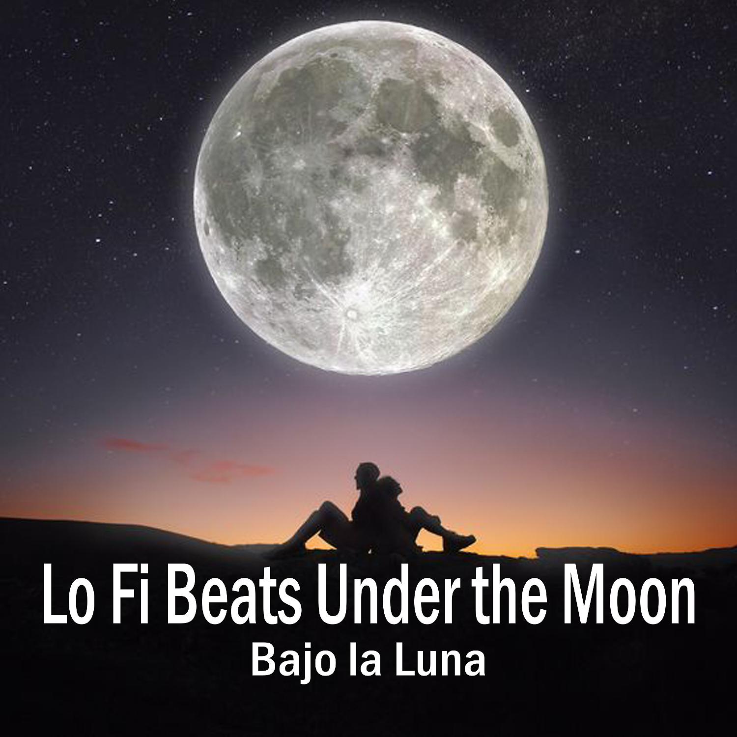 Постер альбома lo fi beats under the moon