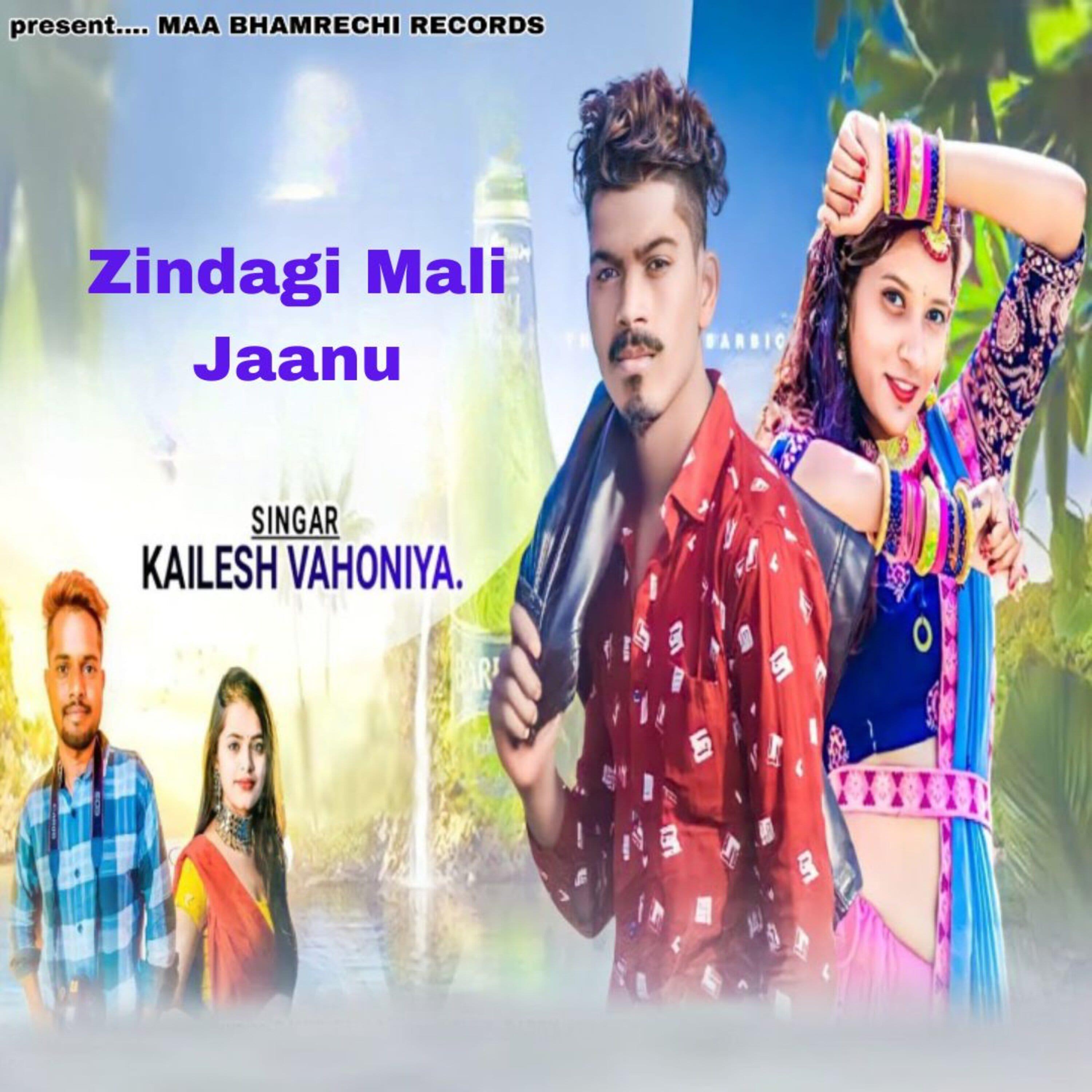 Постер альбома Jindagi mali Jaanu