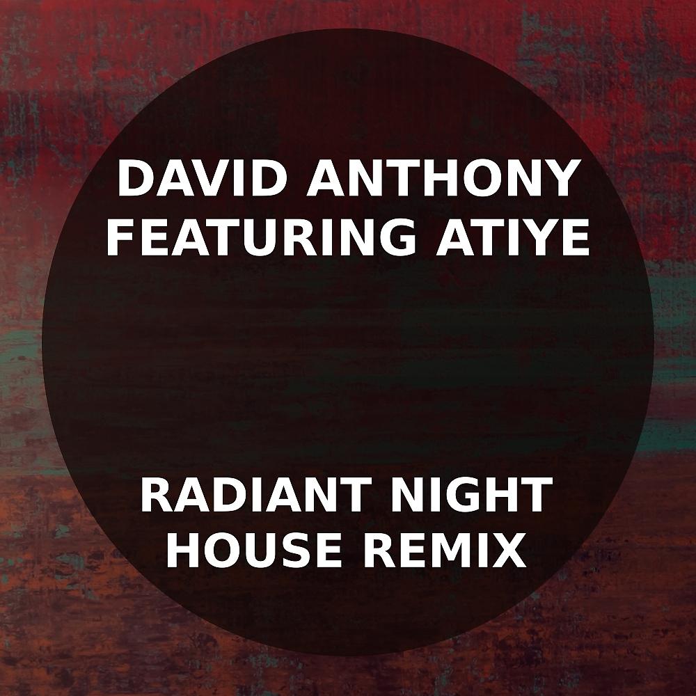 Постер альбома Radiant Night House Remix