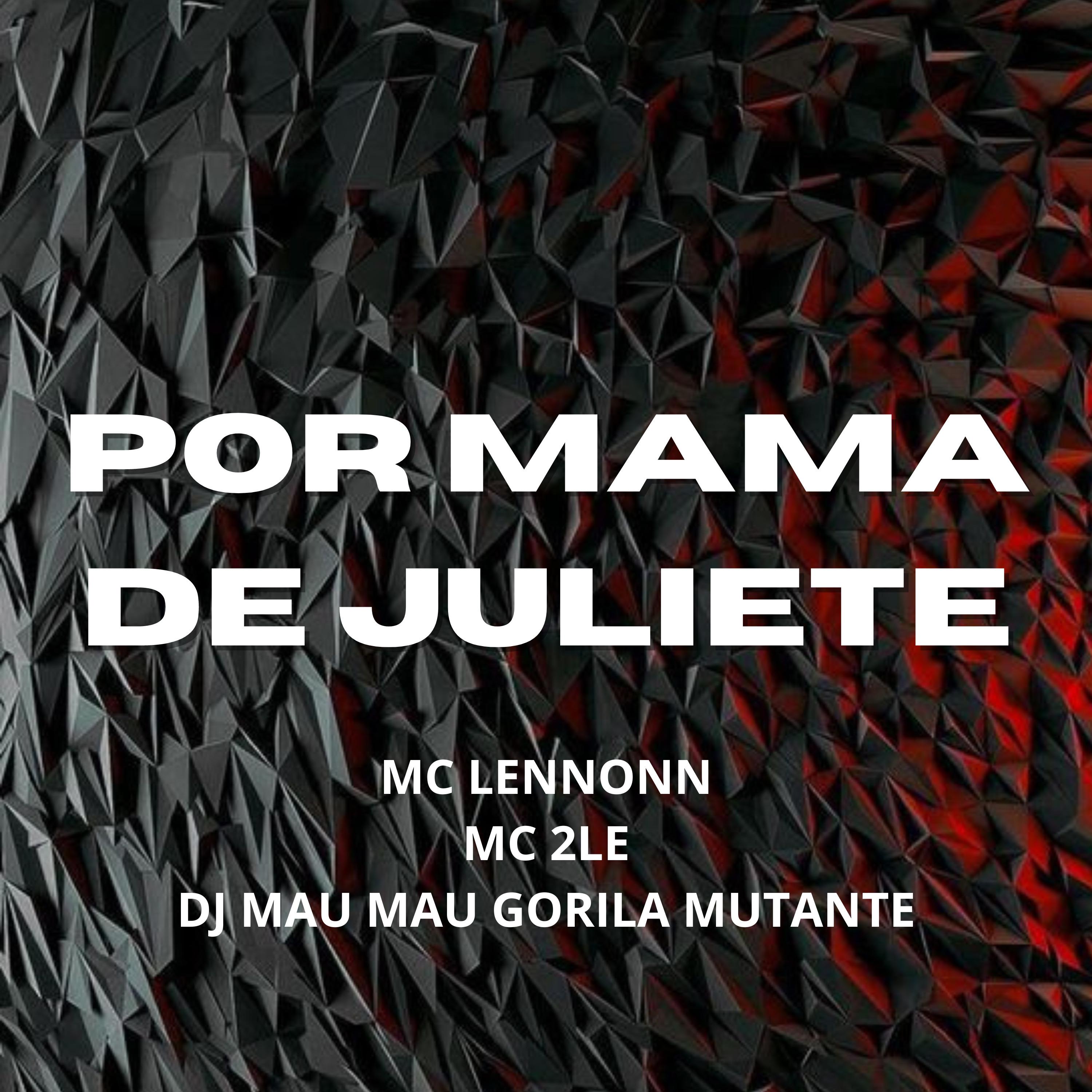 Постер альбома Por Mama de Juliete