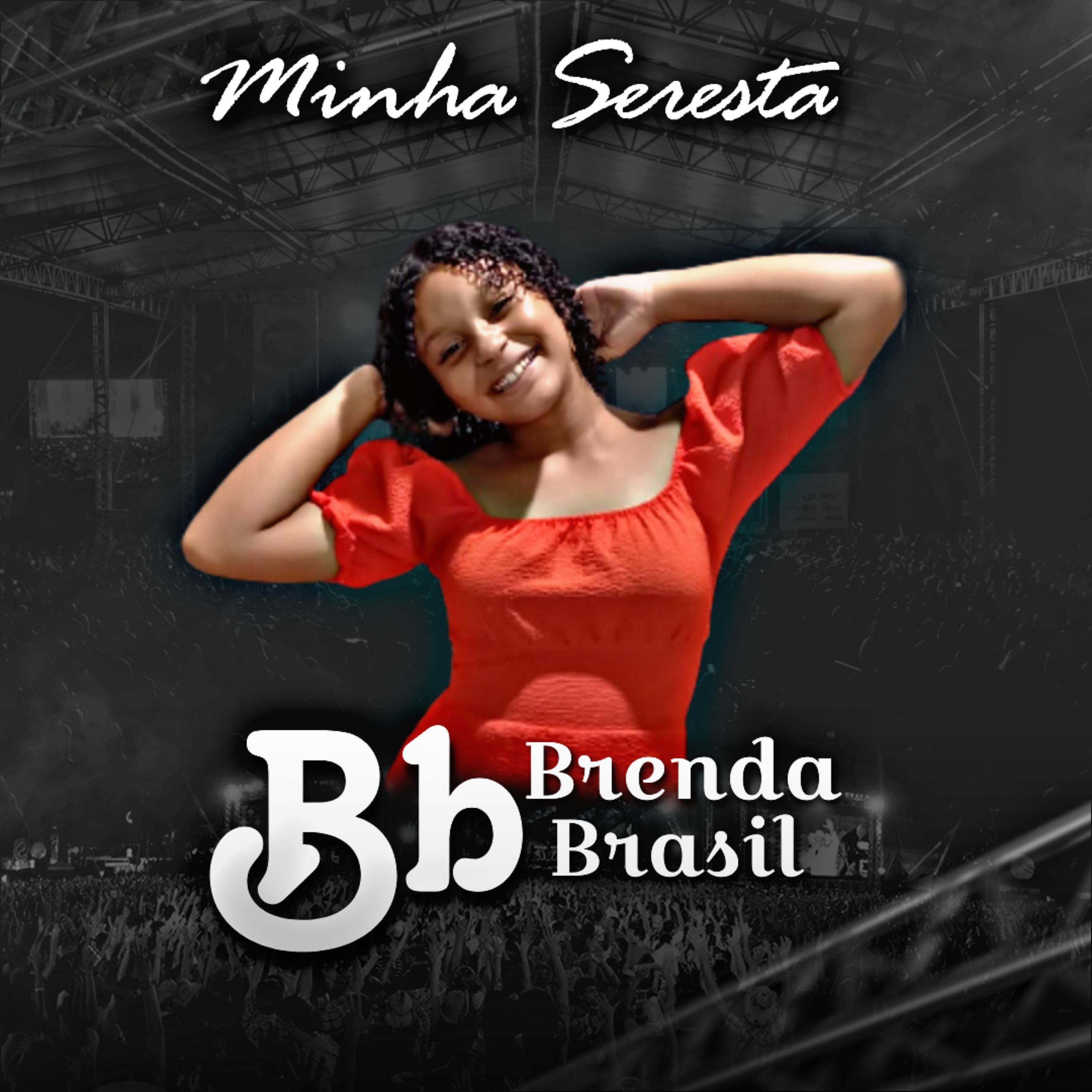 Постер альбома Minha Seresta