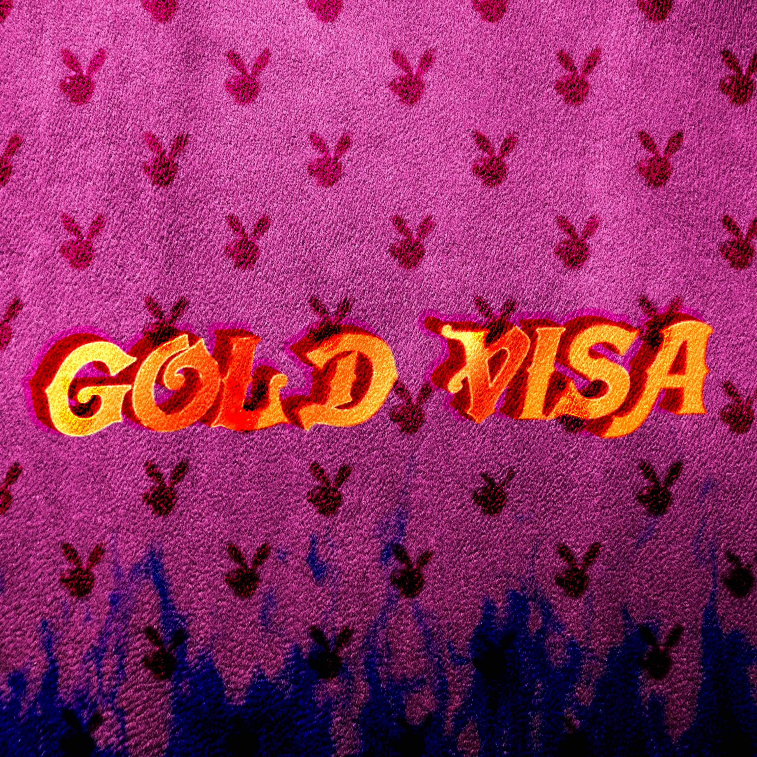 Постер альбома Gold Visa