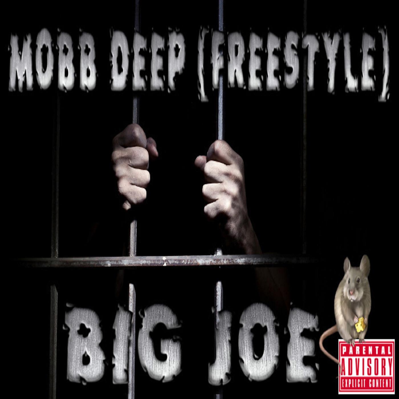 Постер альбома Mobb Deep Freestyle