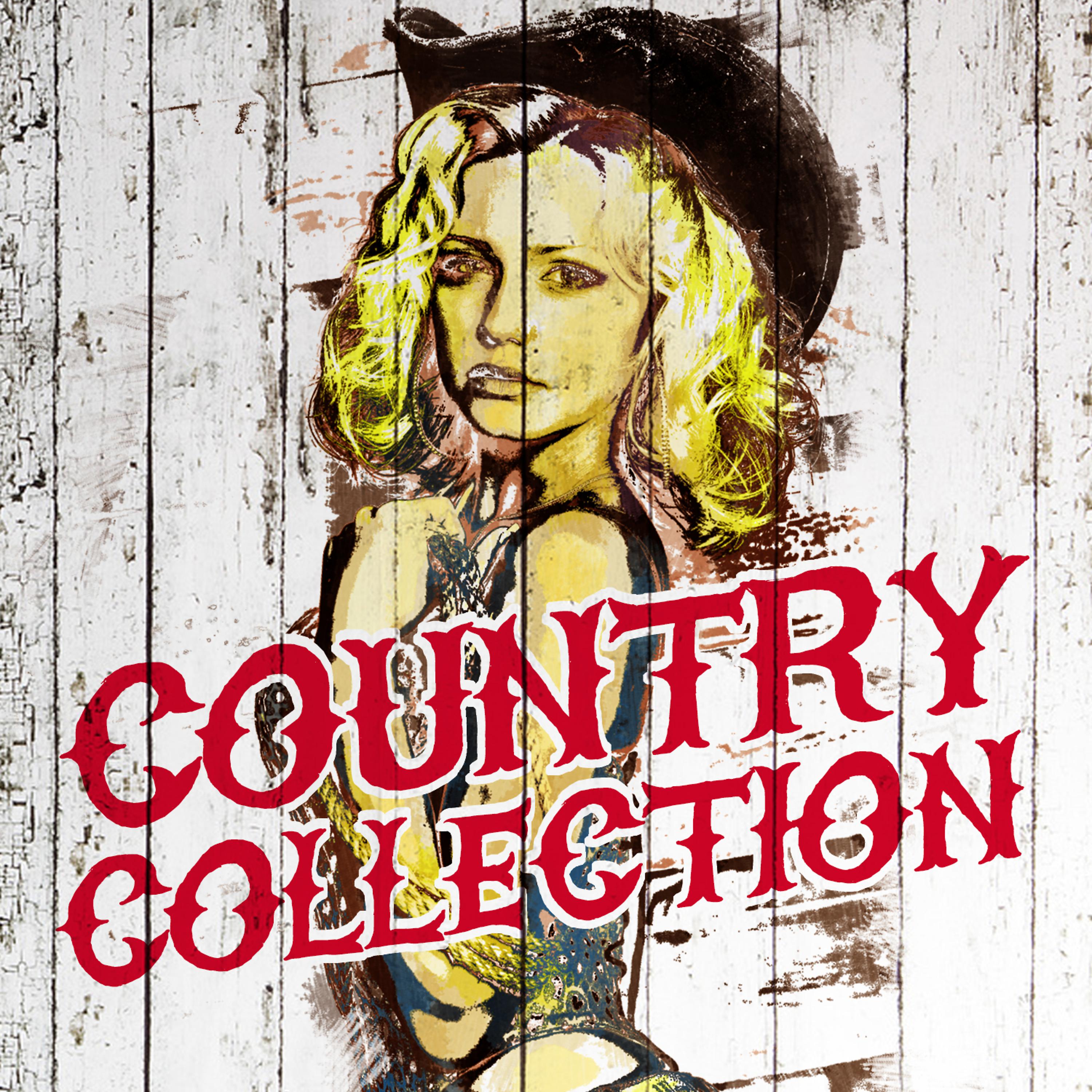 Постер альбома Country Collection