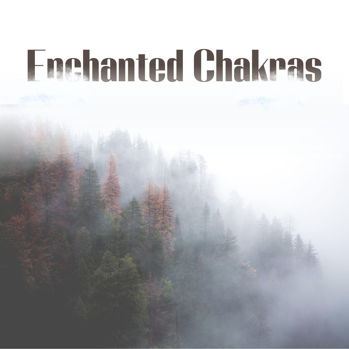 Постер альбома Enchanted Chakras