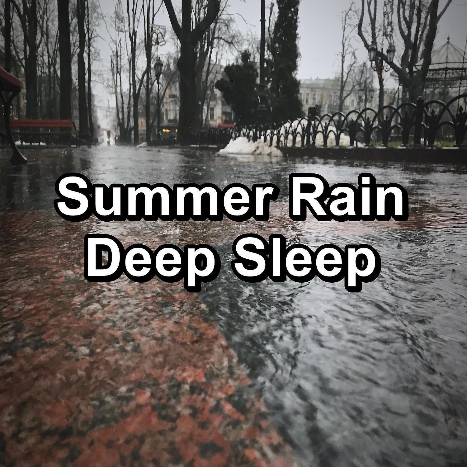 Постер альбома Summer Rain Deep Sleep