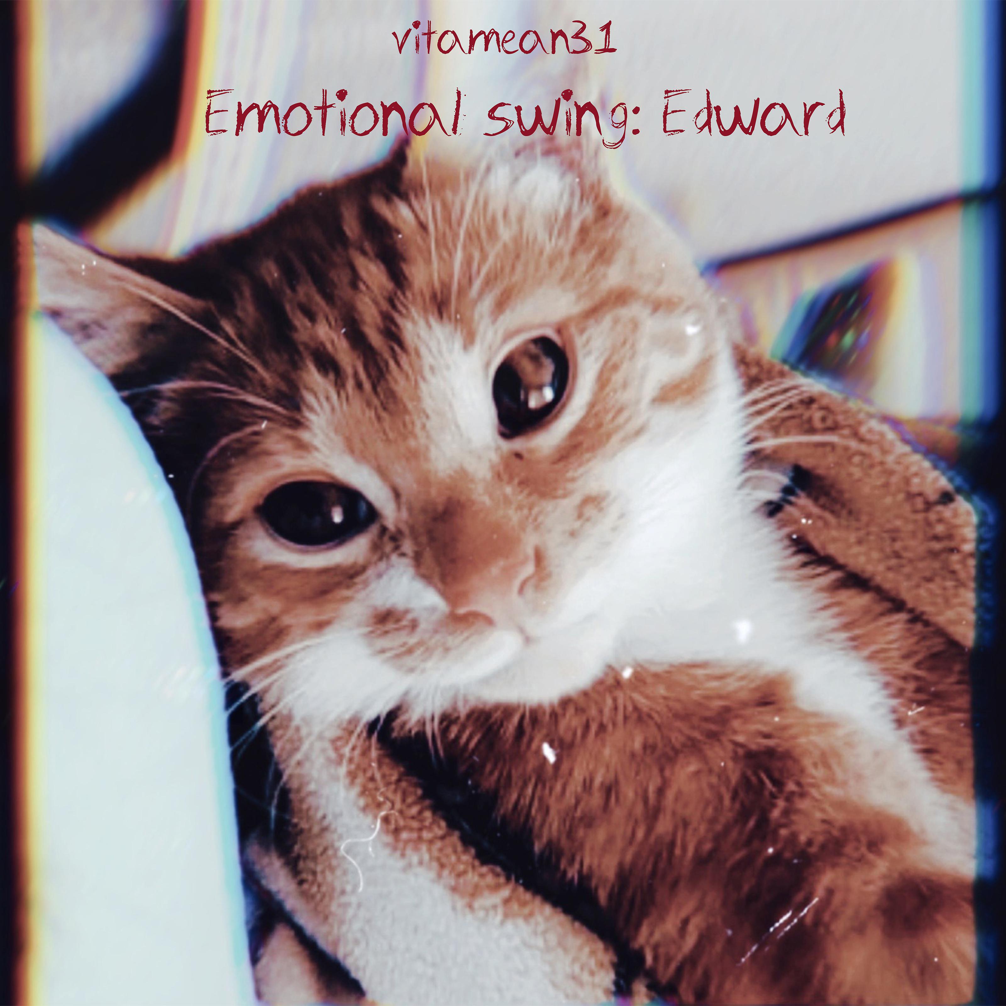 Постер альбома Emotional swing: Edward