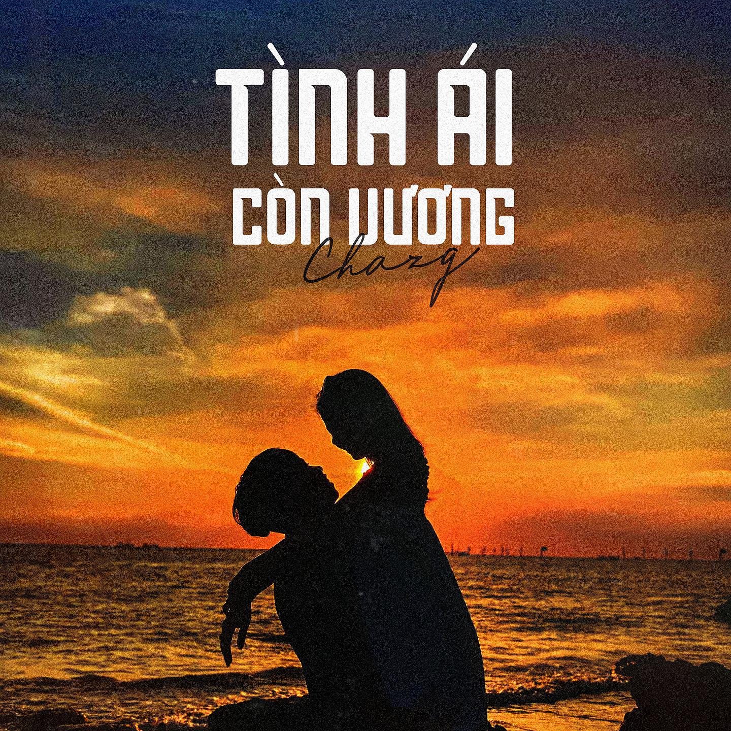 Постер альбома Tình Ái Còn Vương