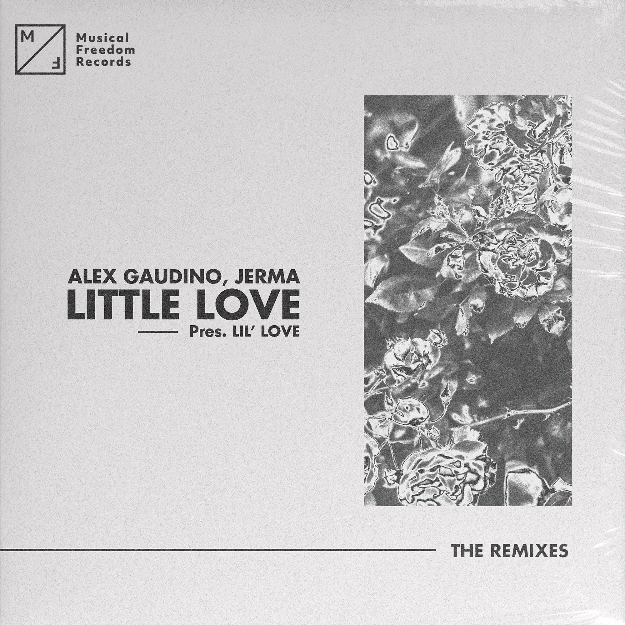 Постер альбома Little Love (pres. Lil' Love) [The Remixes]