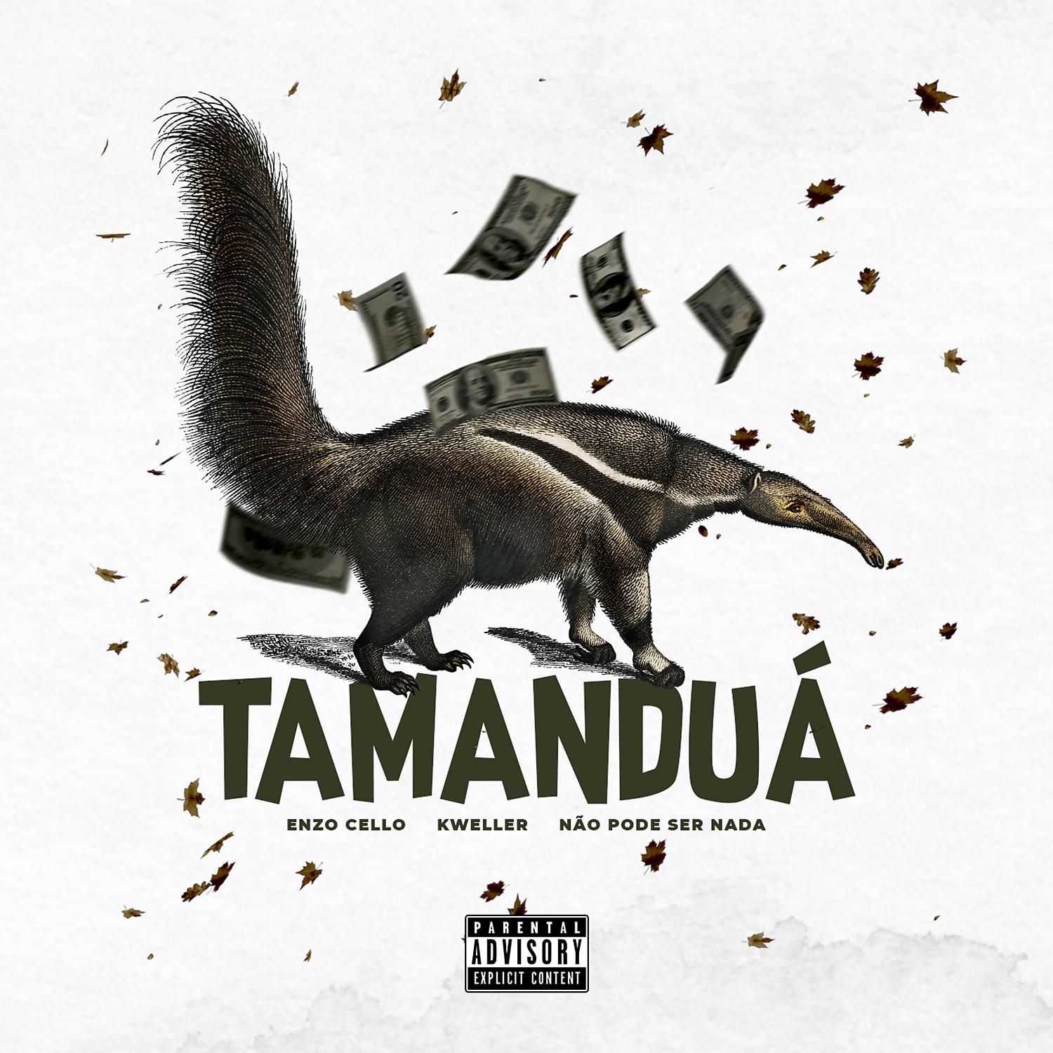 Постер альбома Tamanduá (feat. Kweller)