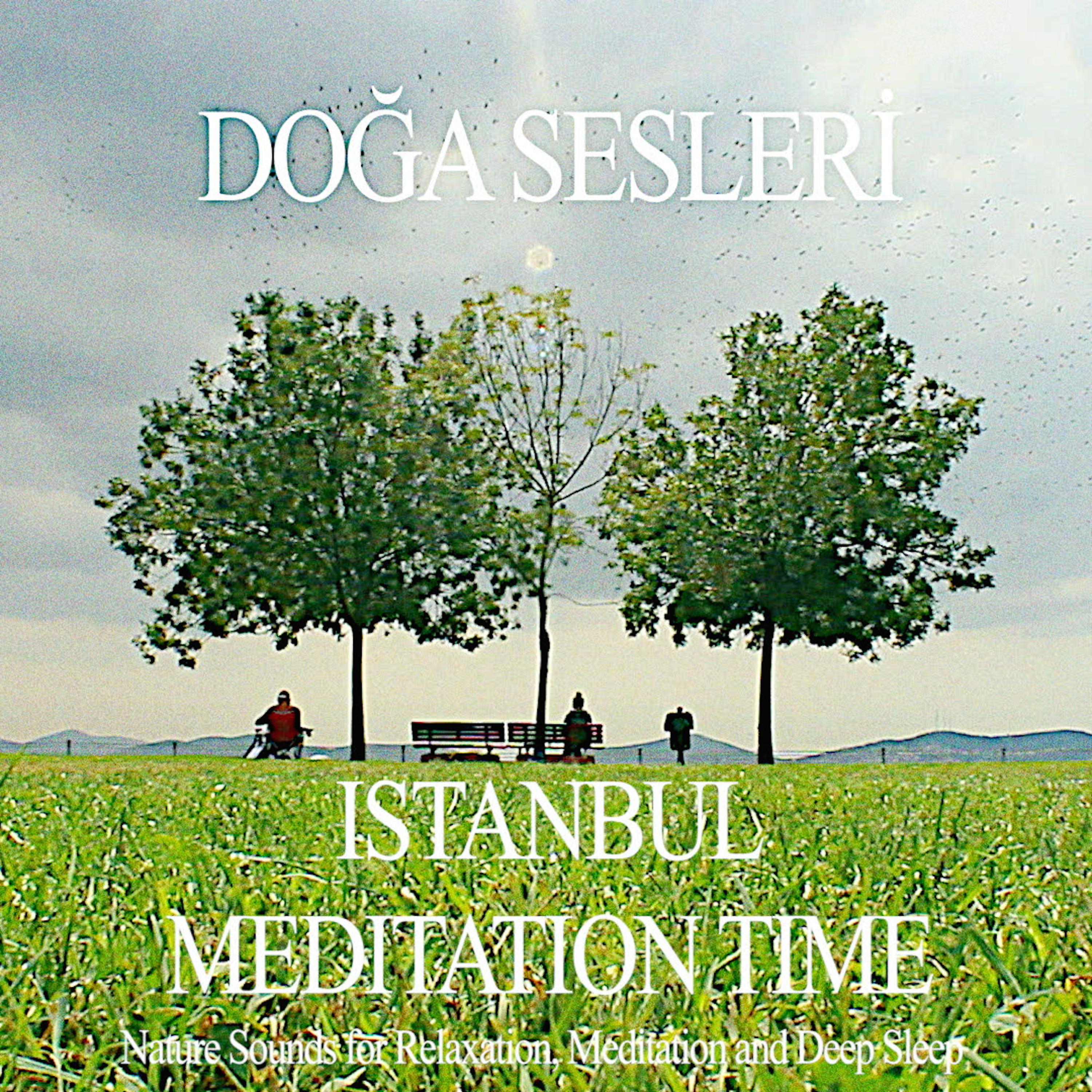 Постер альбома Istanbul Meditation Time - Nature Sounds for Relaxation, Meditation and Deep Sleep