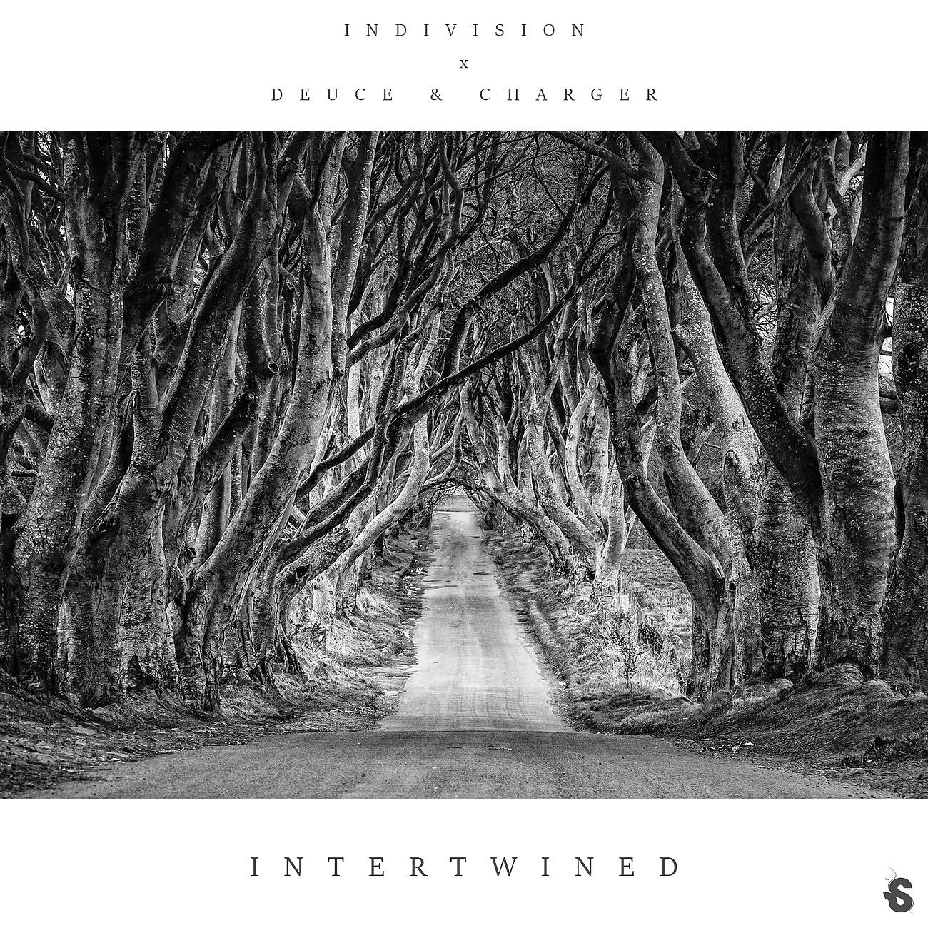Постер альбома Intertwined