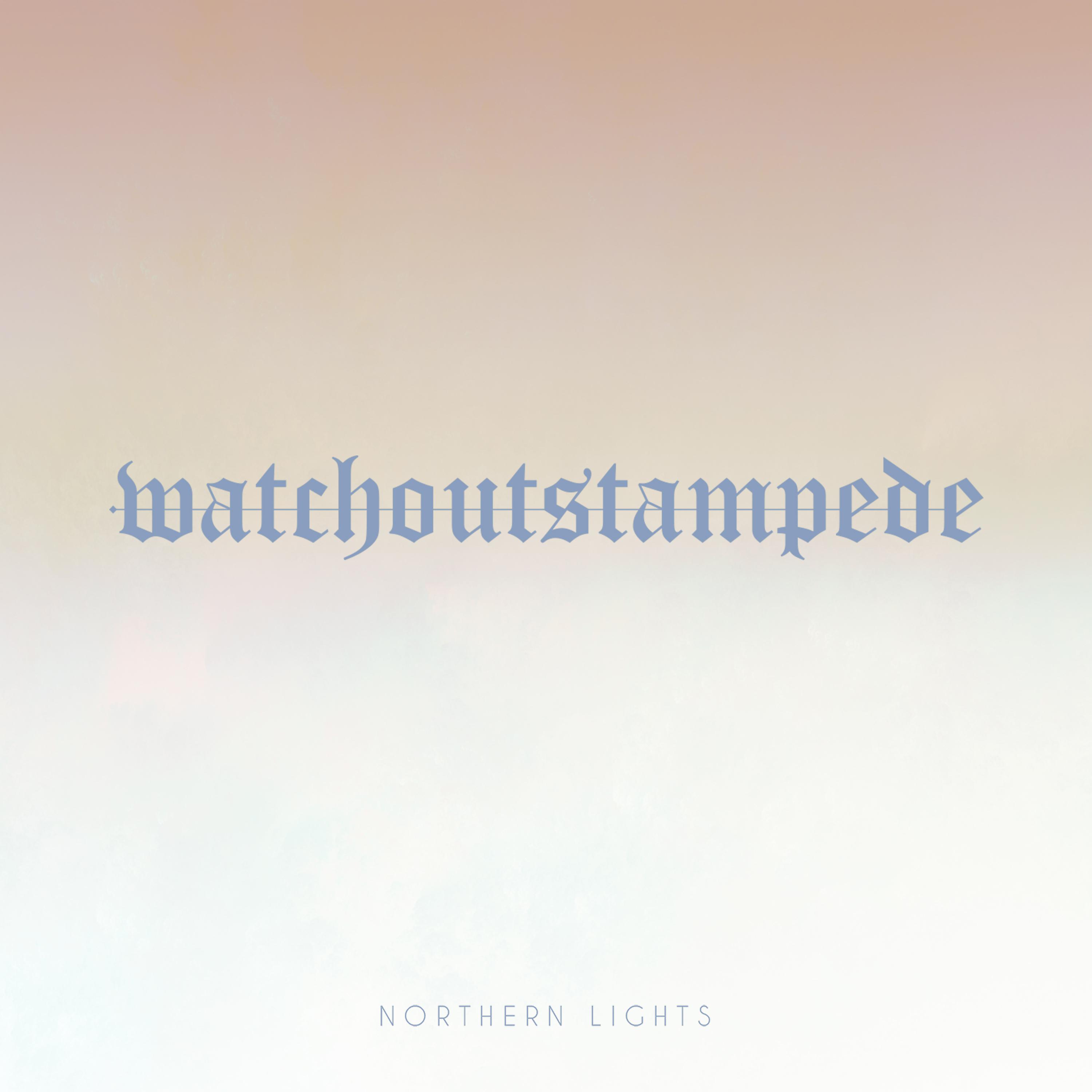 Постер альбома Northern Lights (Instrumental)