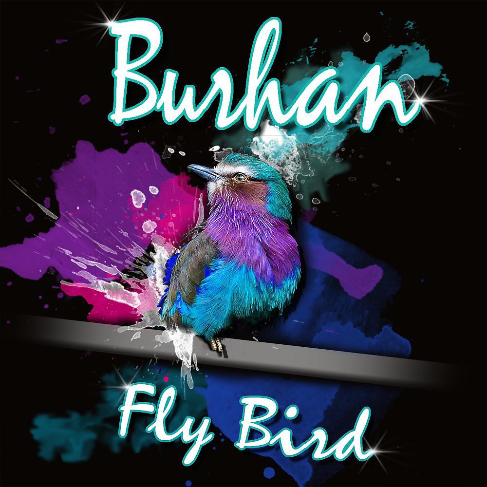 Постер альбома Fly Bird