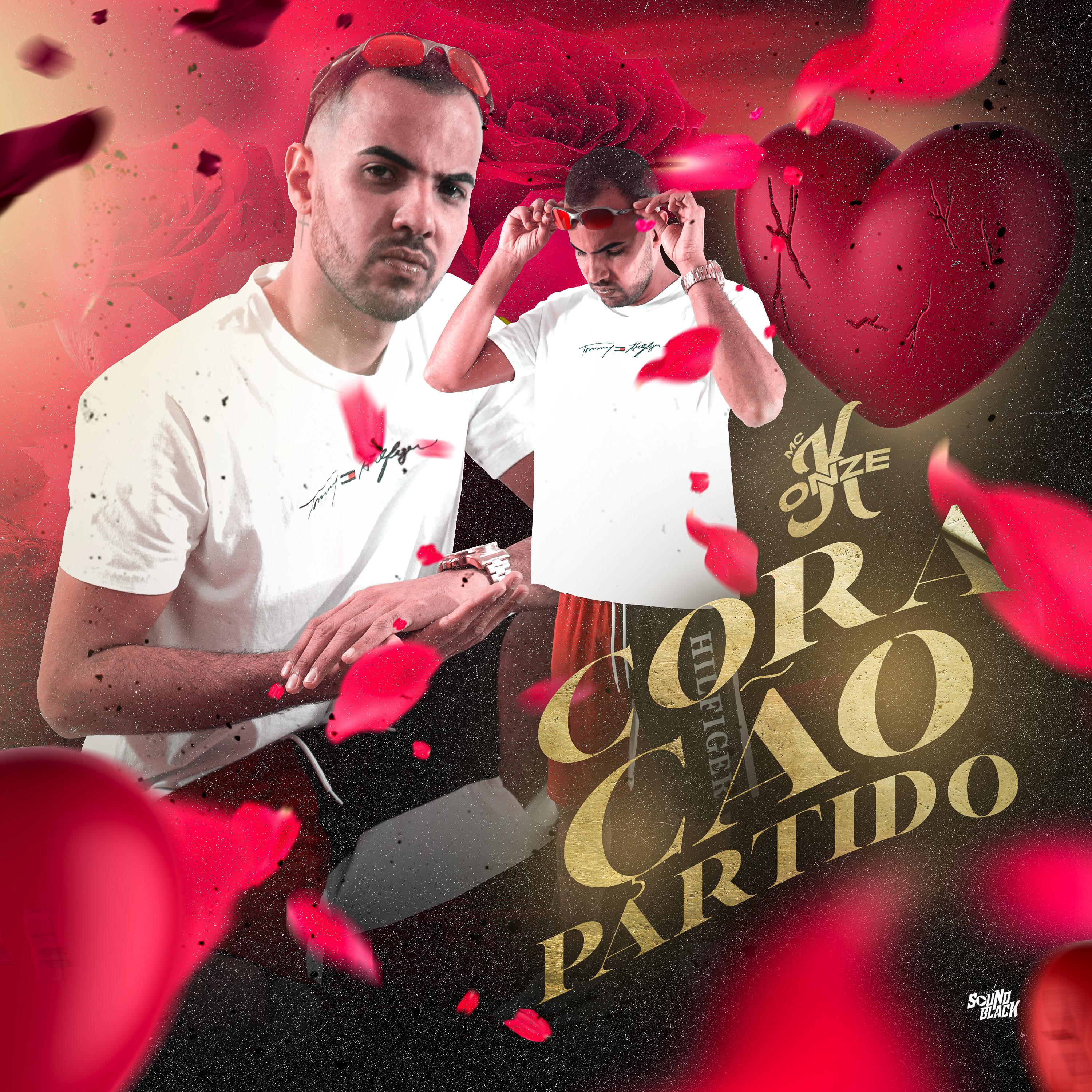 Постер альбома Coração Partido