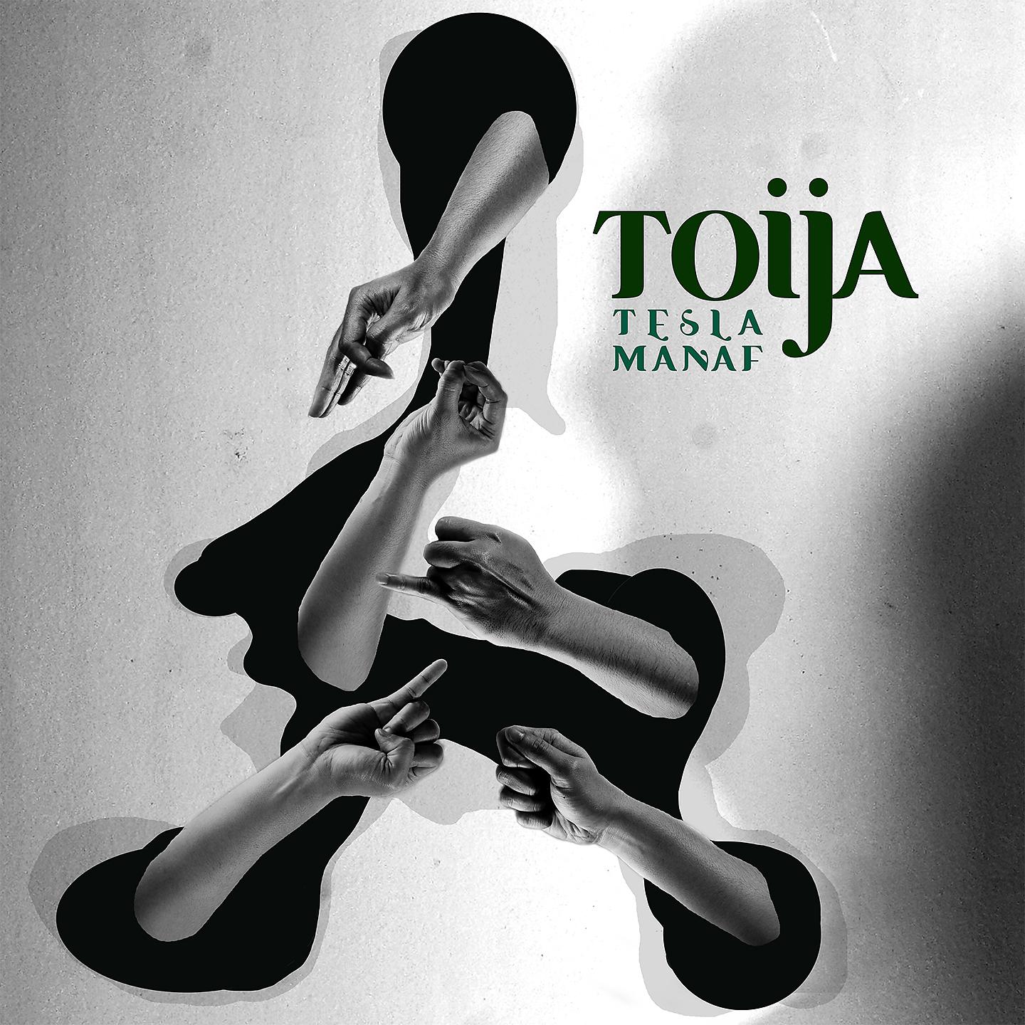 Постер альбома Toija