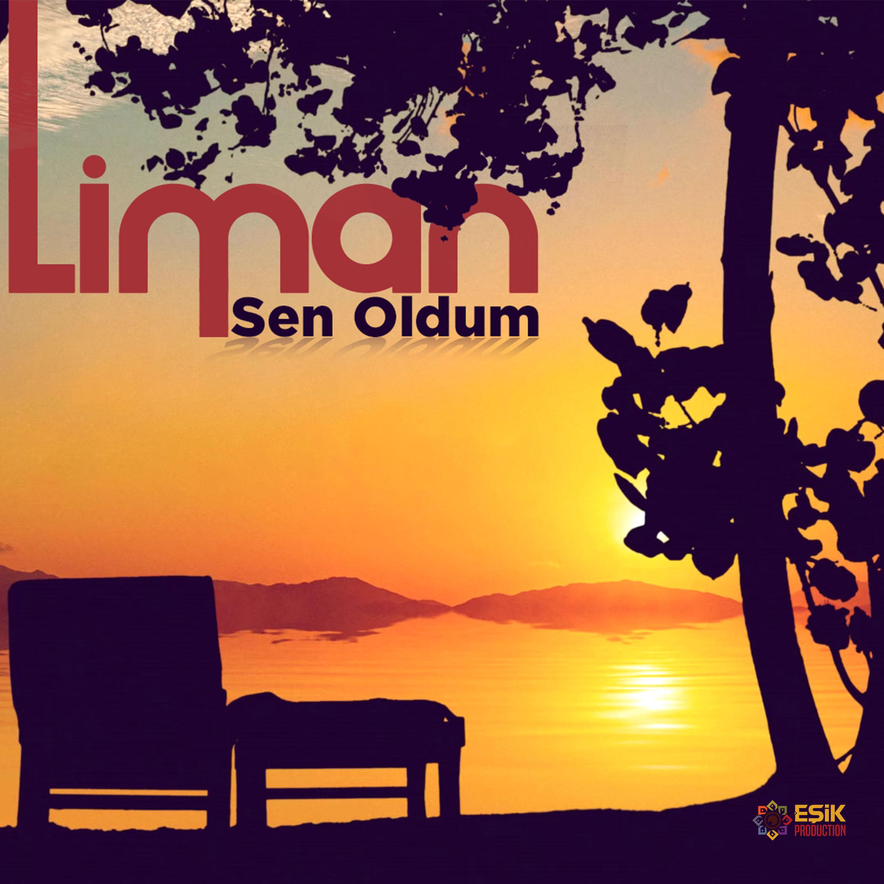 Постер альбома Sen Oldum