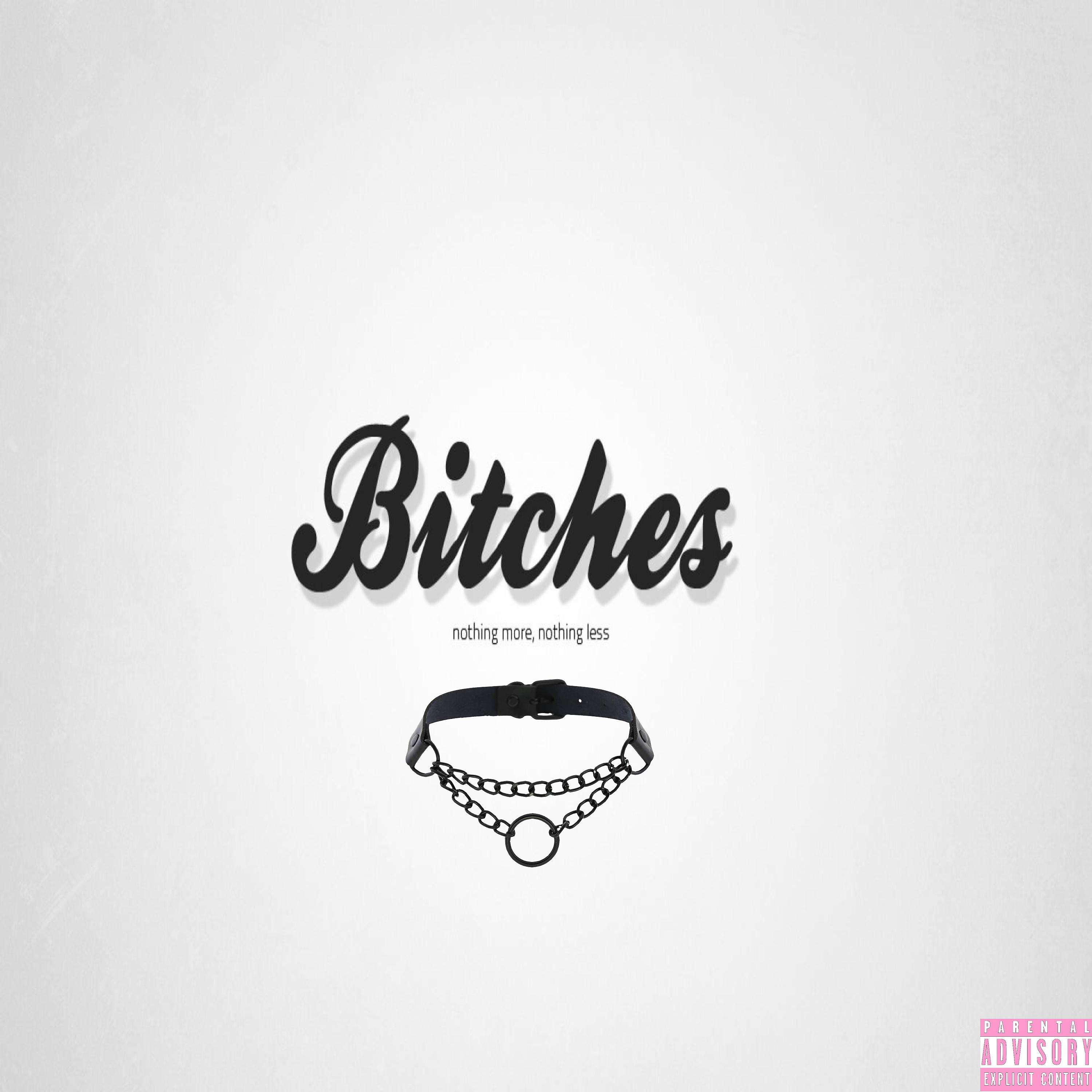 Постер альбома Bitches