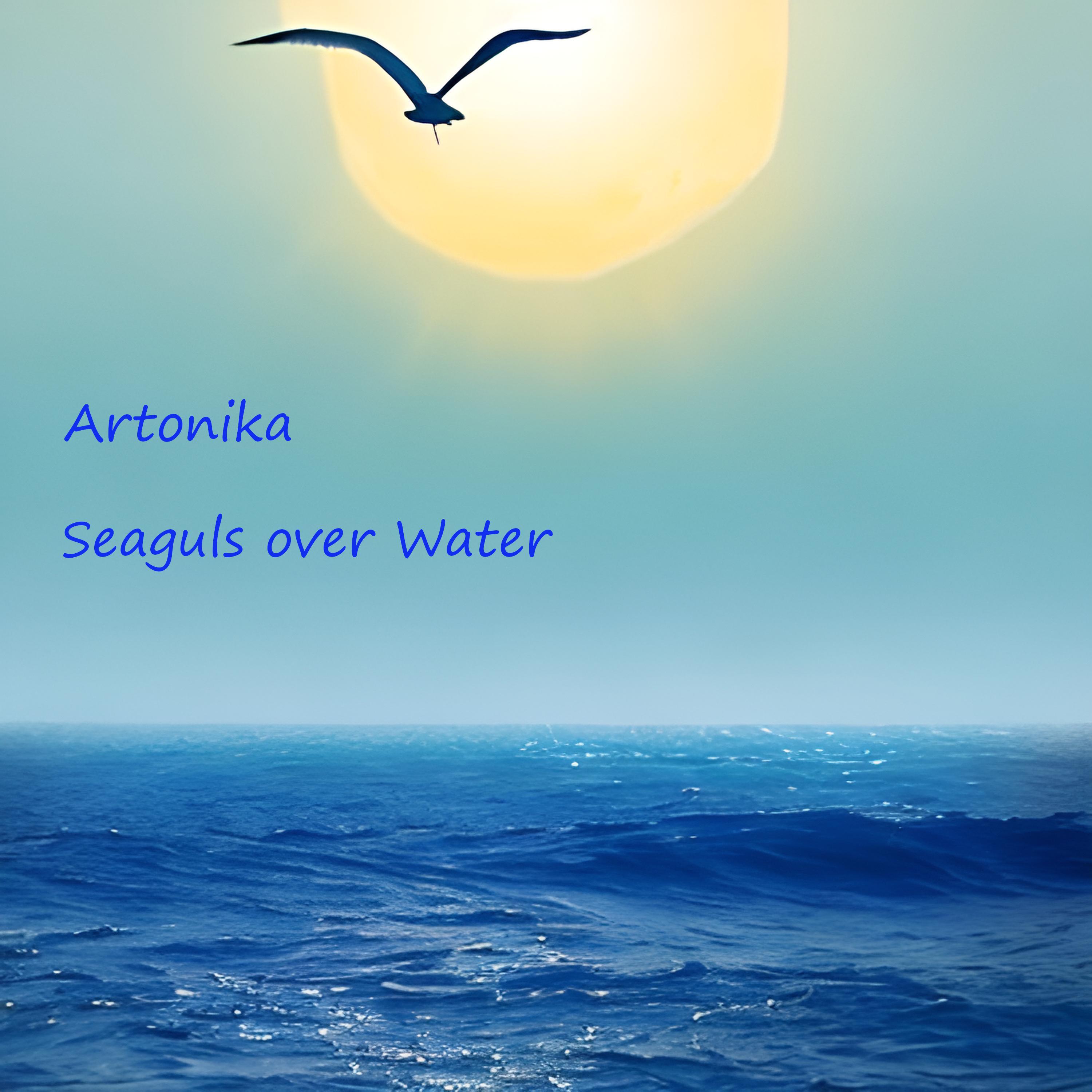 Постер альбома Seagulls over Water