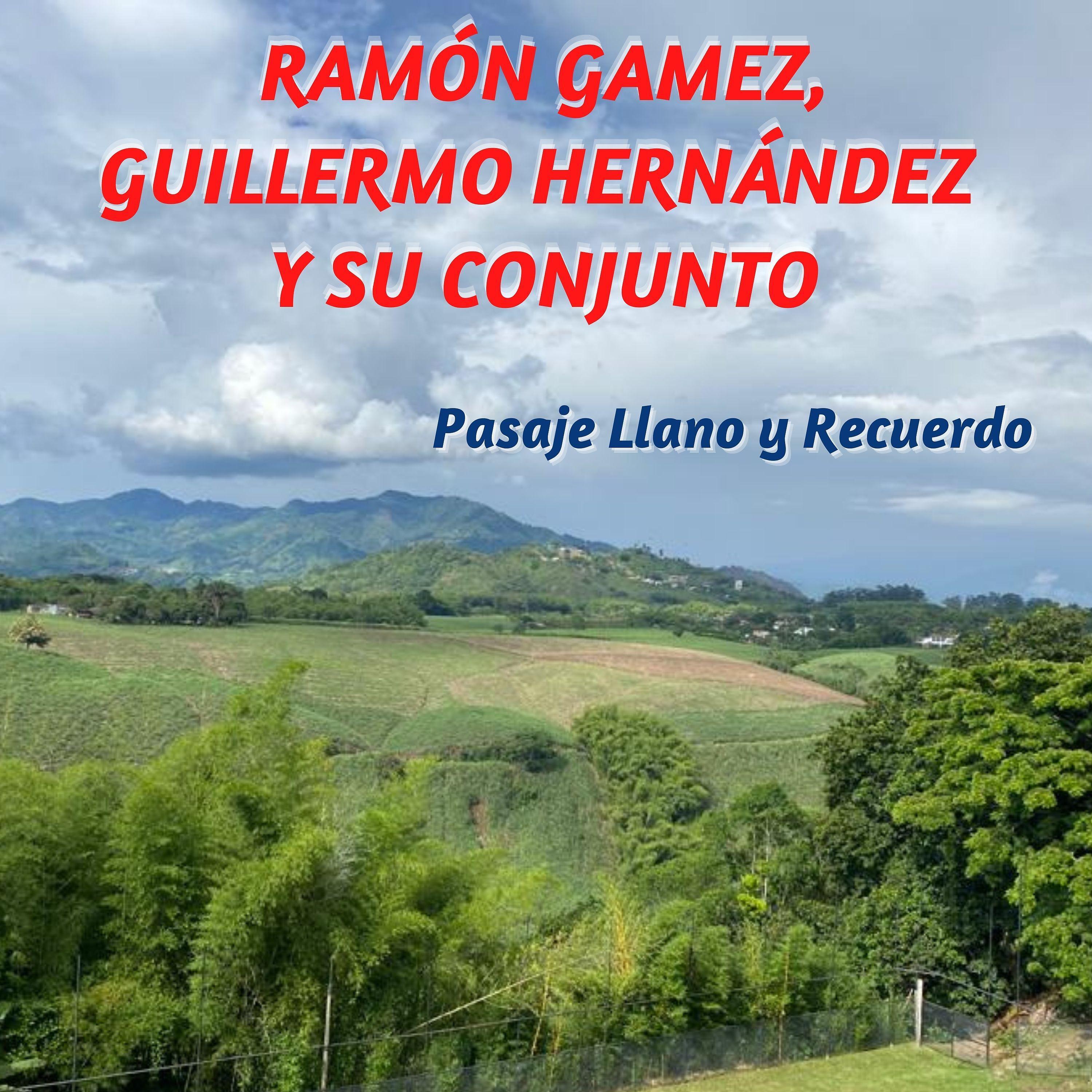 Постер альбома Pasaje Llano y Recuerdo