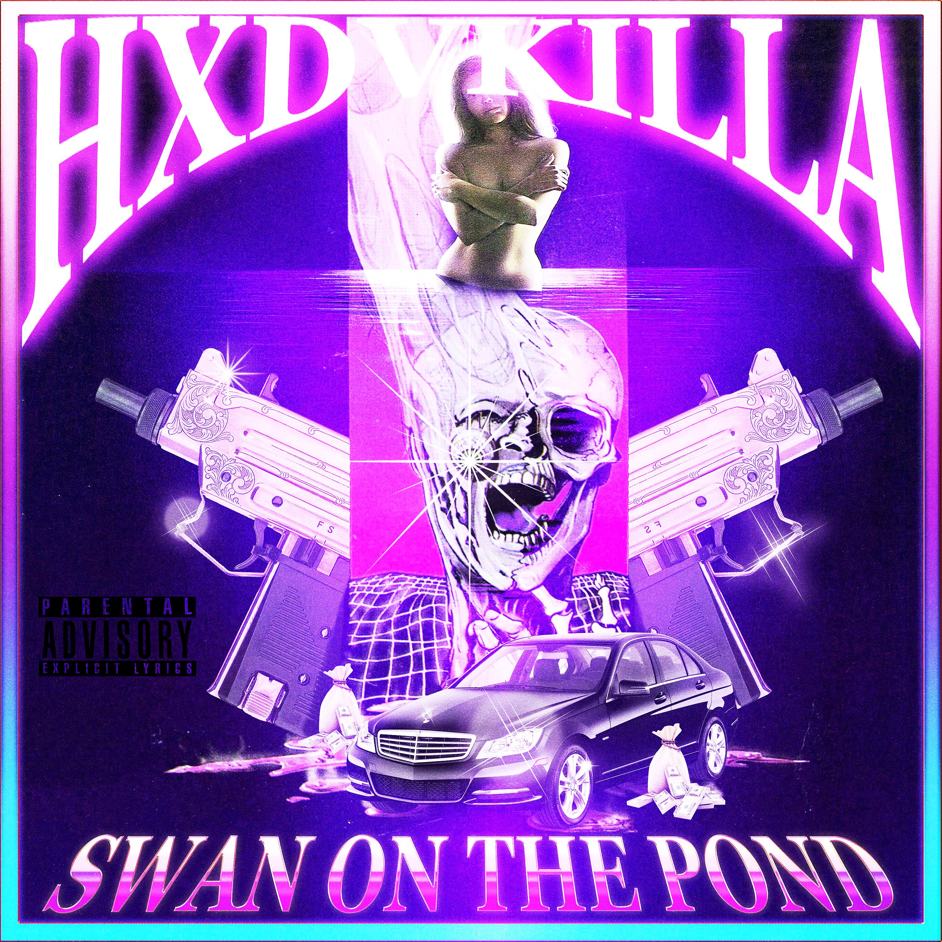 Постер альбома Swan on the Pond