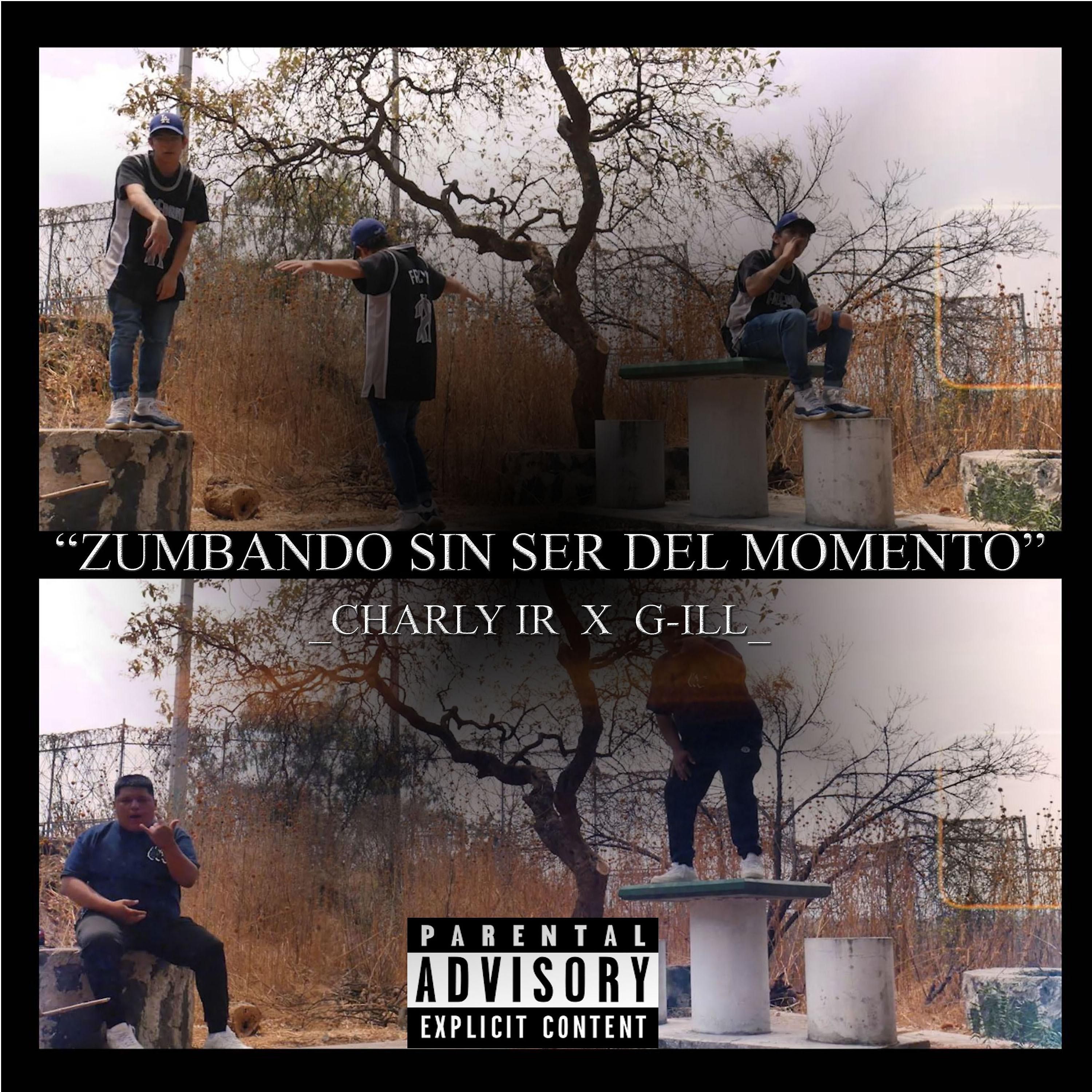 Постер альбома Zumbando Sin Ser del Momento