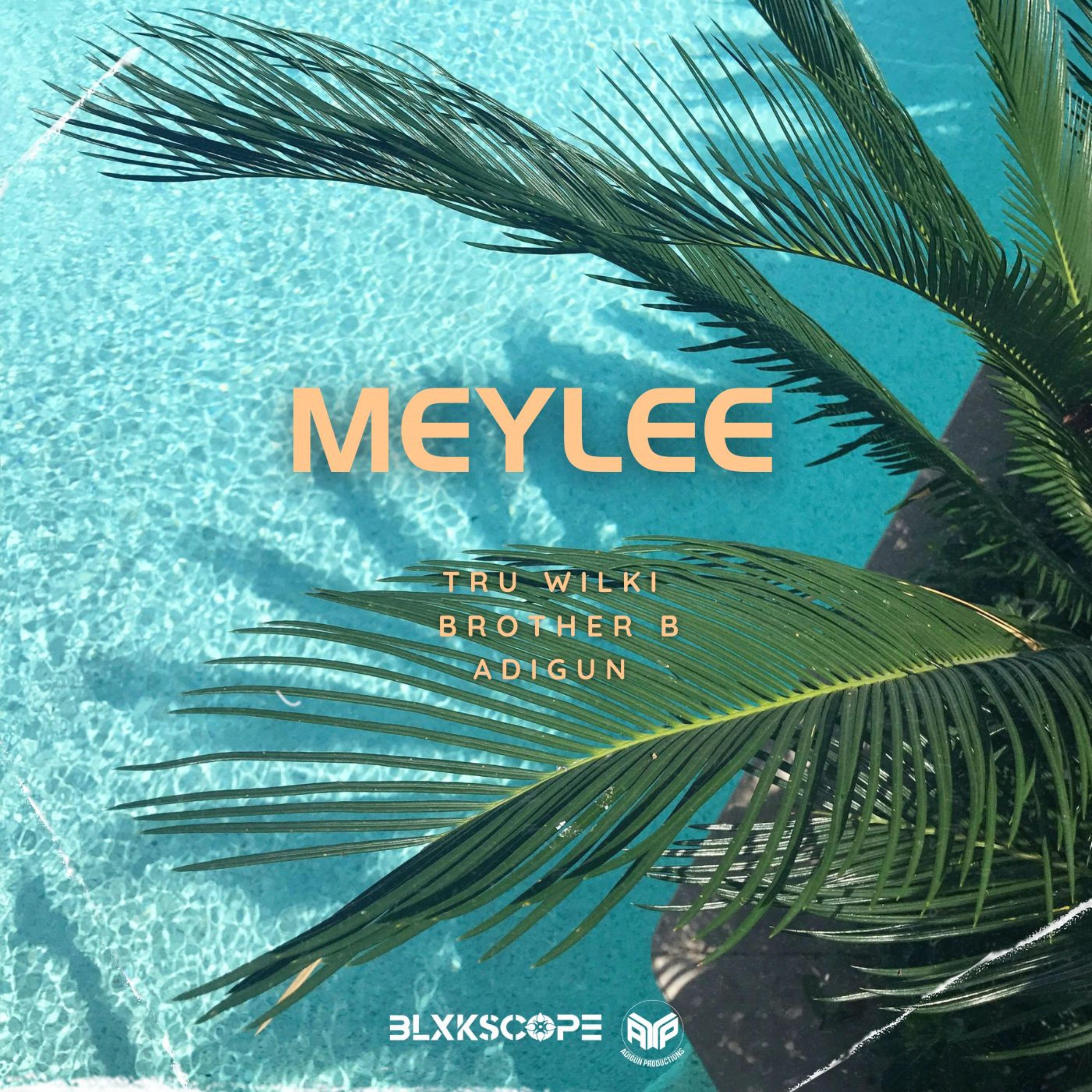 Постер альбома Meylee