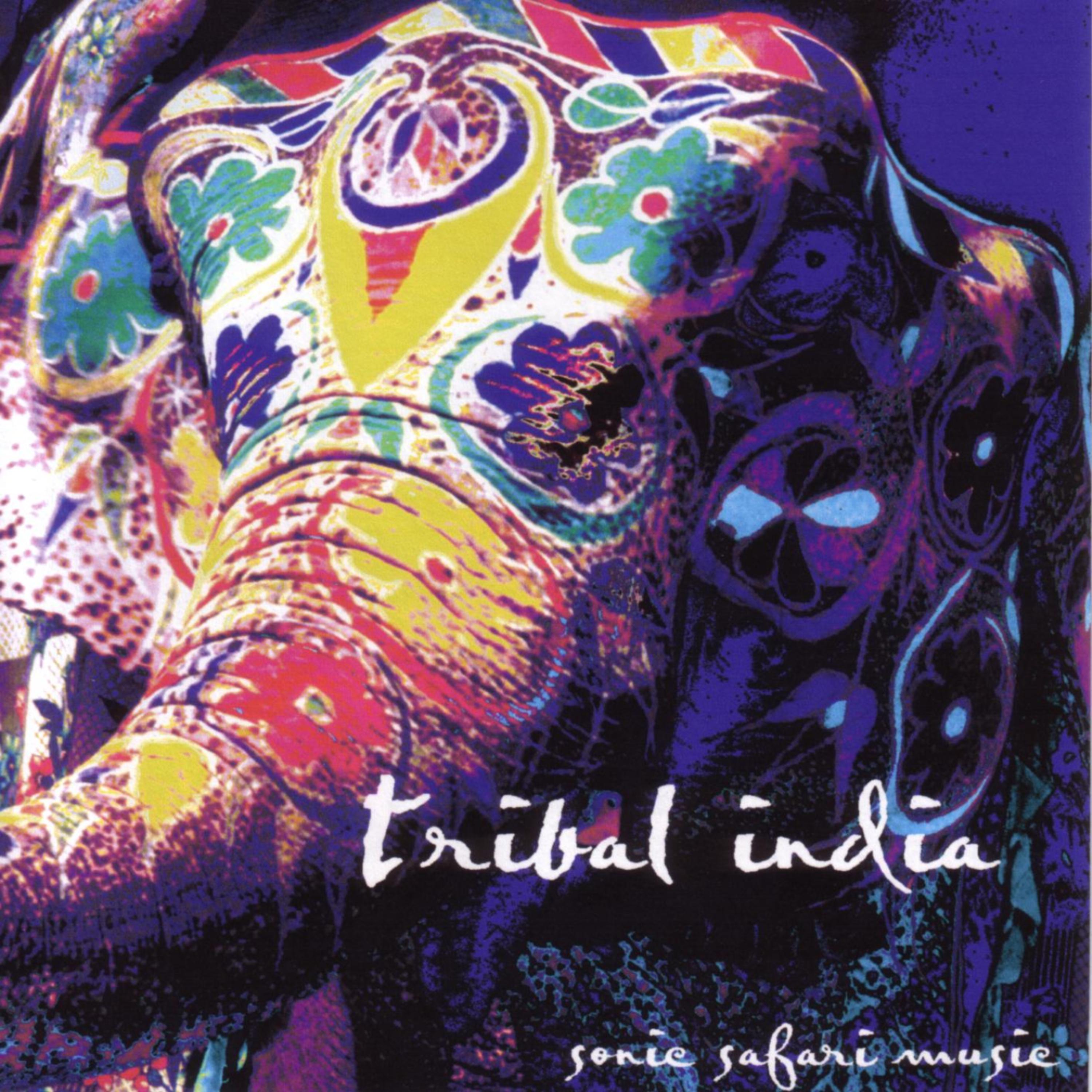 Постер альбома Tribal India