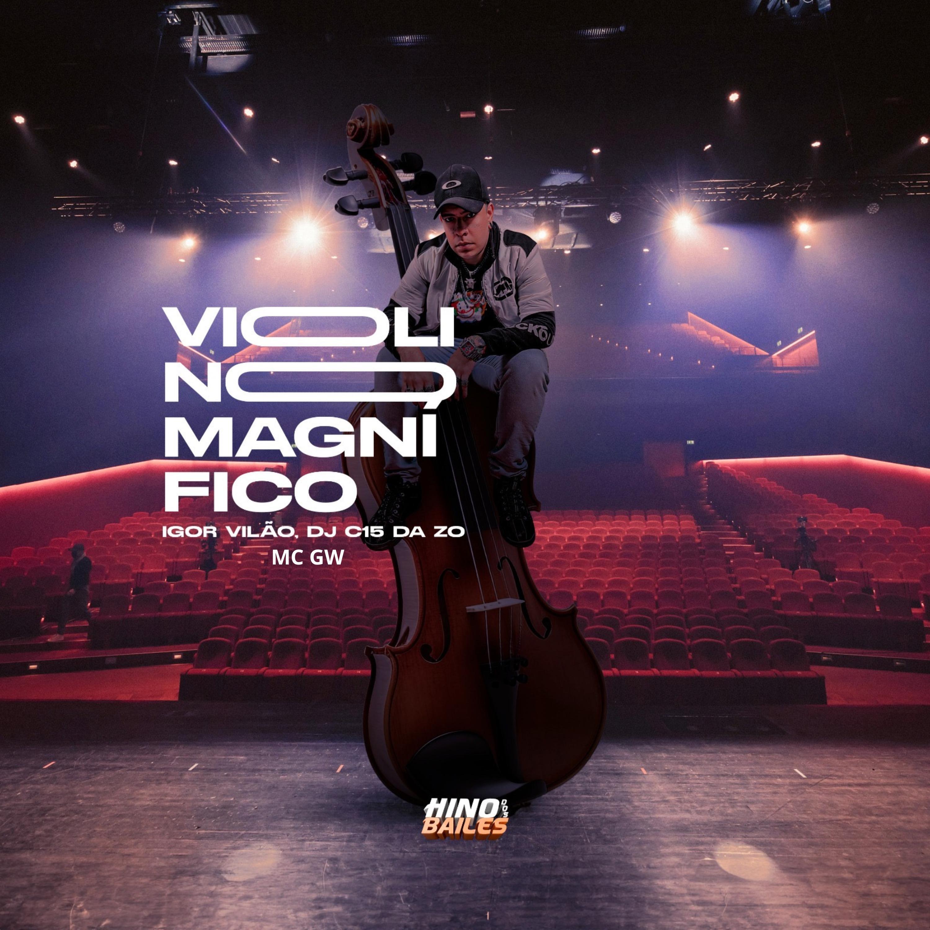 Постер альбома Violino Magnifico