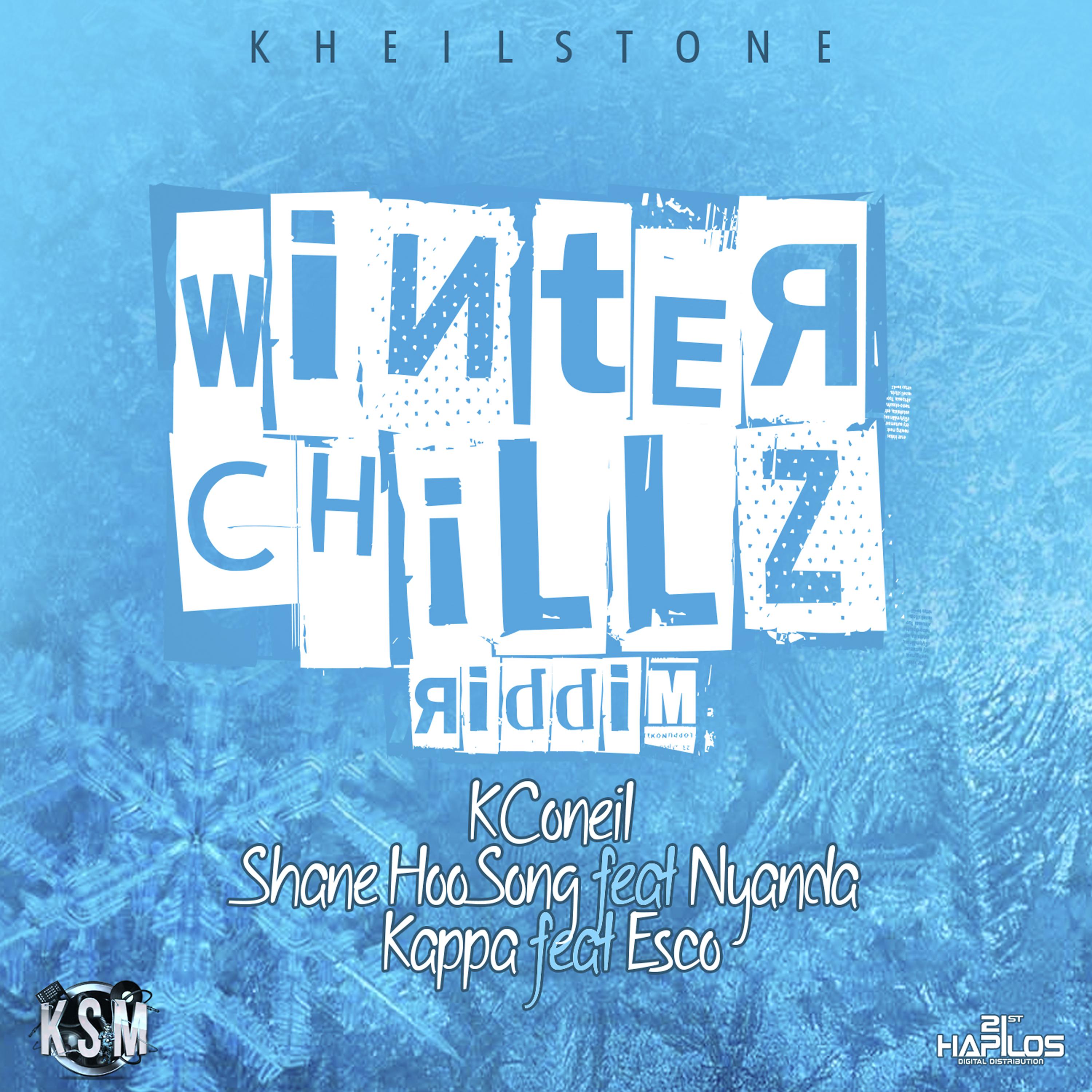 Постер альбома Winter Chillz Riddim