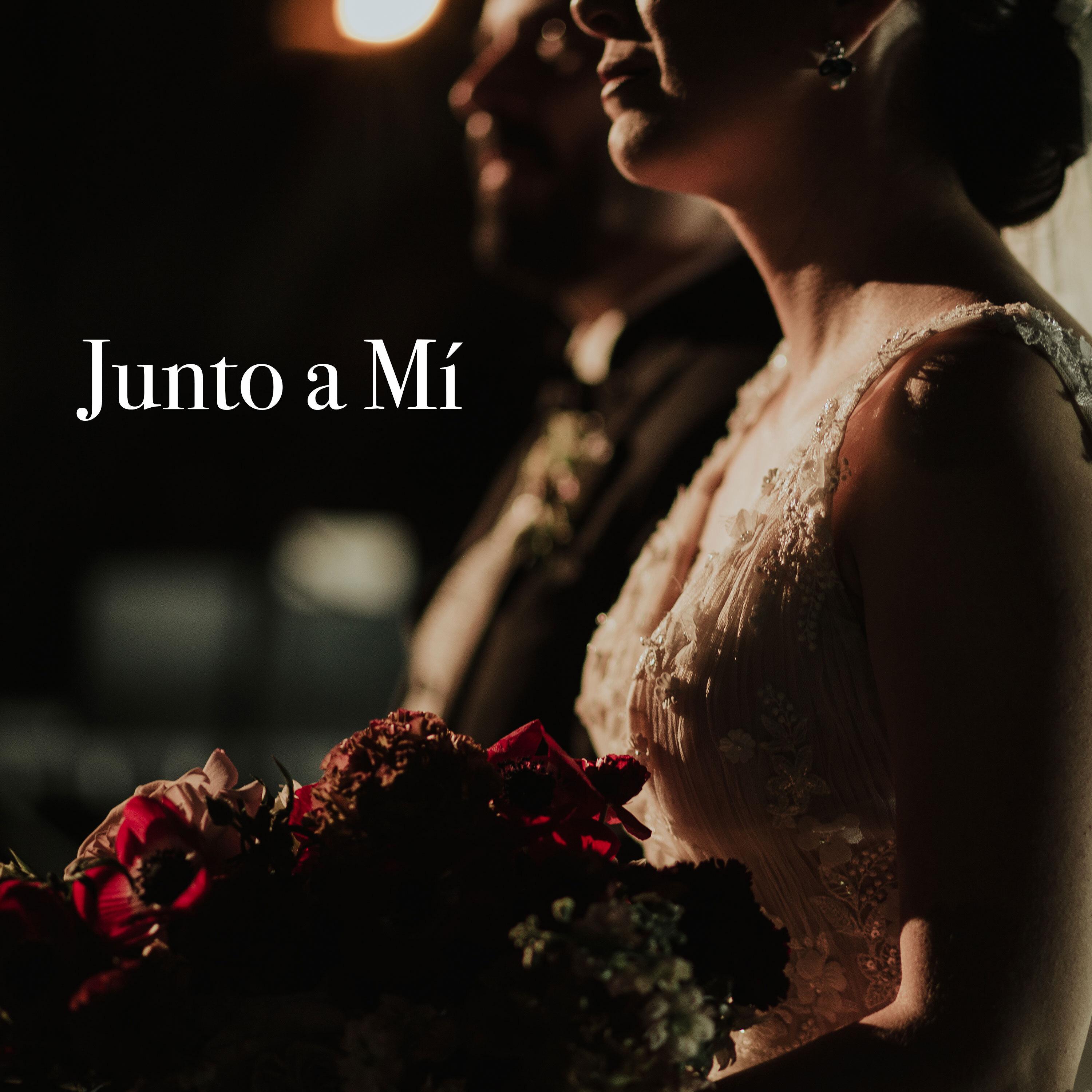 Постер альбома Junto a Mí