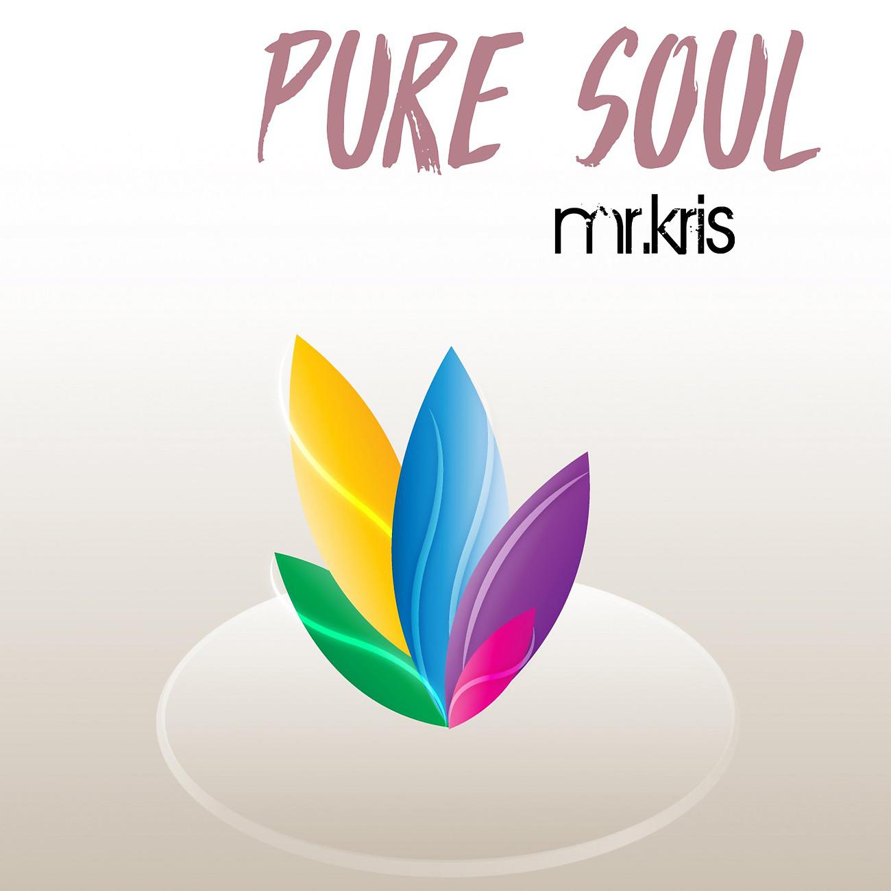 Постер альбома Pure Soul - Single