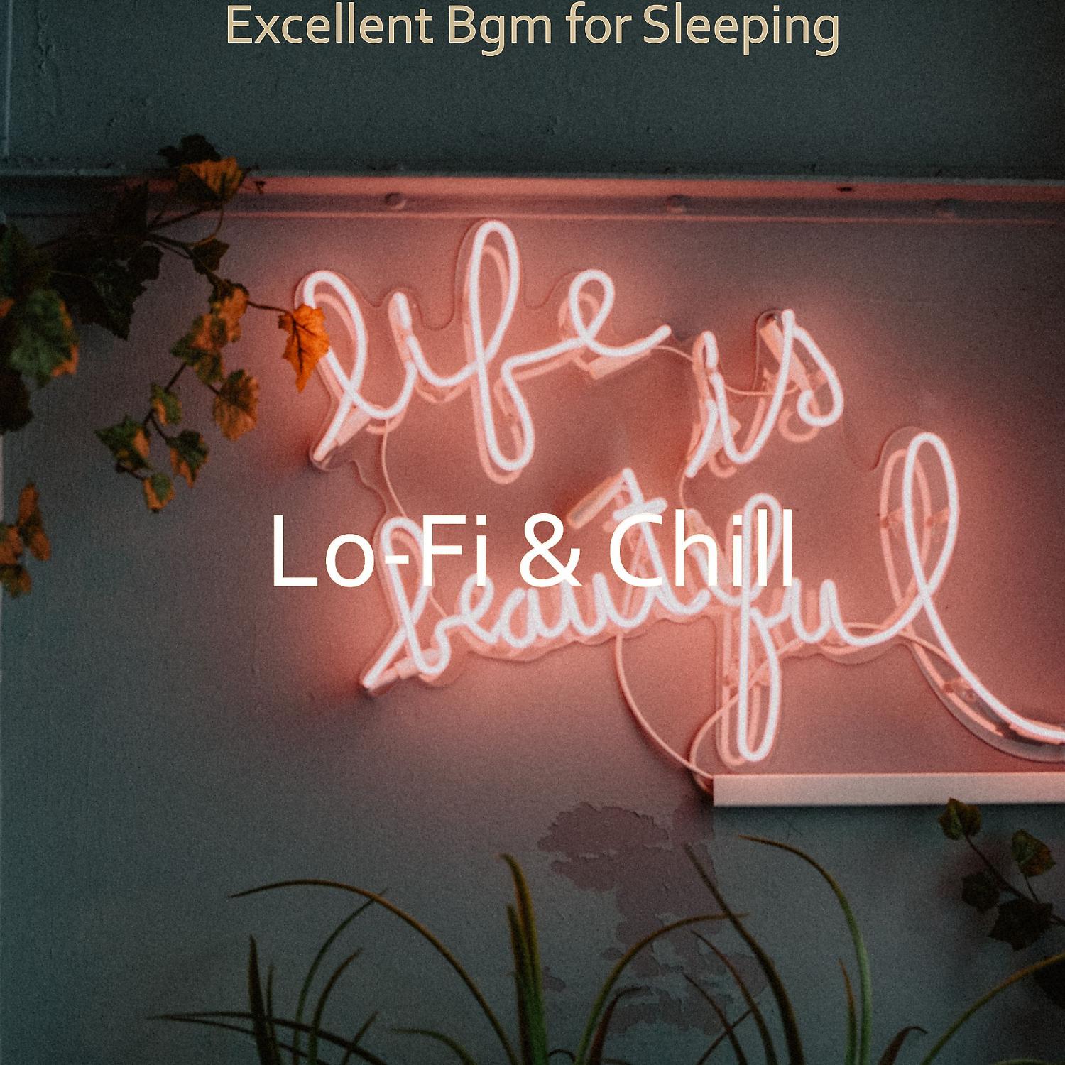 Постер альбома Excellent Bgm for Sleeping