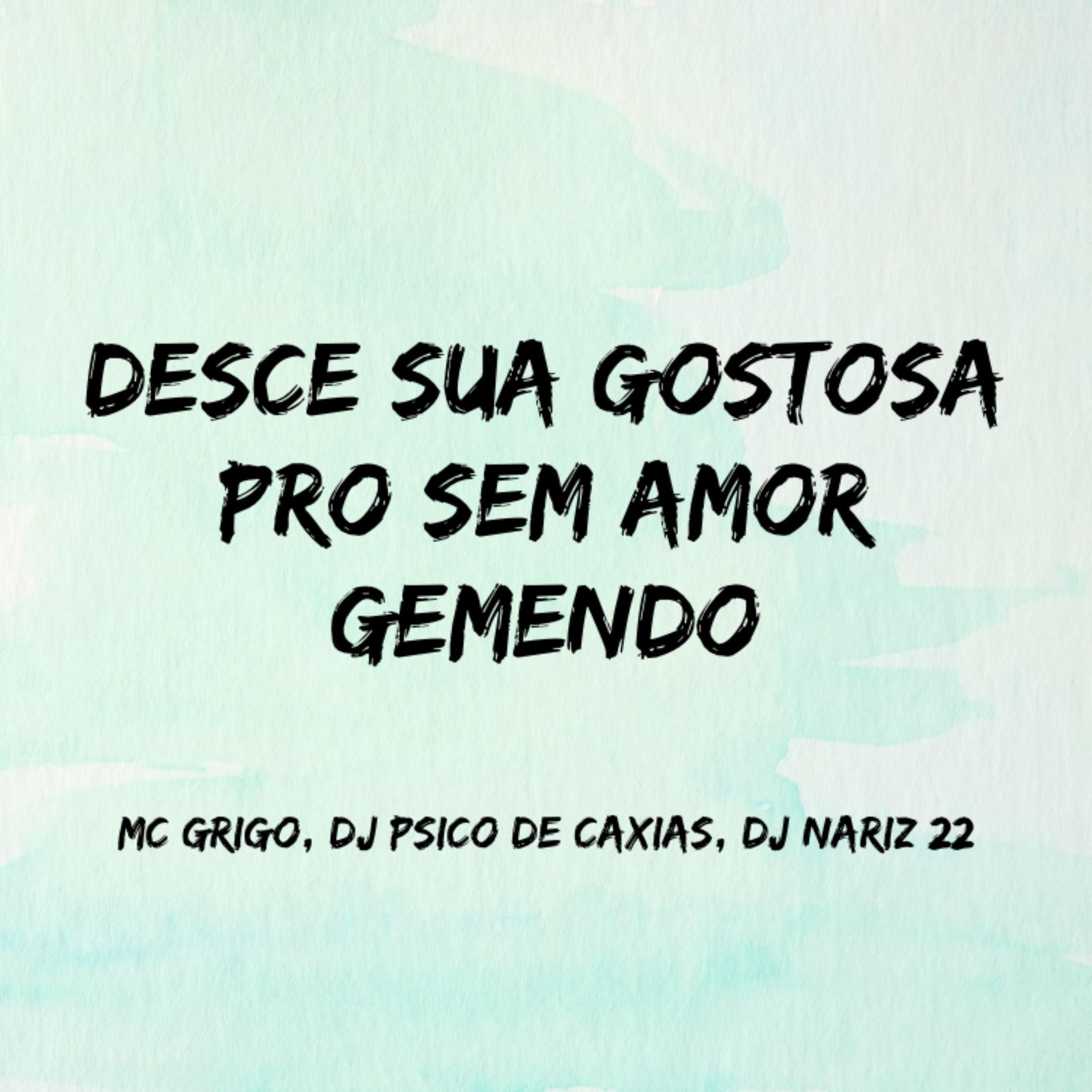 Постер альбома Desce Sua Gostosa pro Sem Amor Gemendo