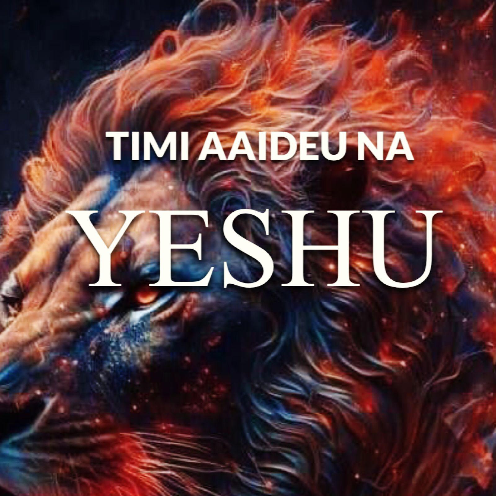 Постер альбома Timi Aaideu Na Yeshu
