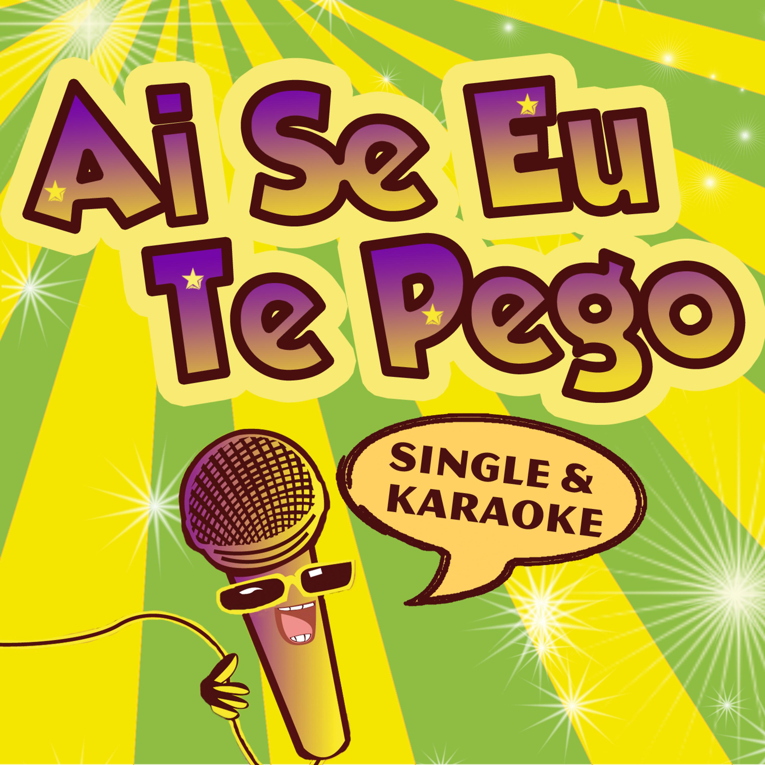 Постер альбома Ai Se Eu Te Pego (Plus Karaoke Version)