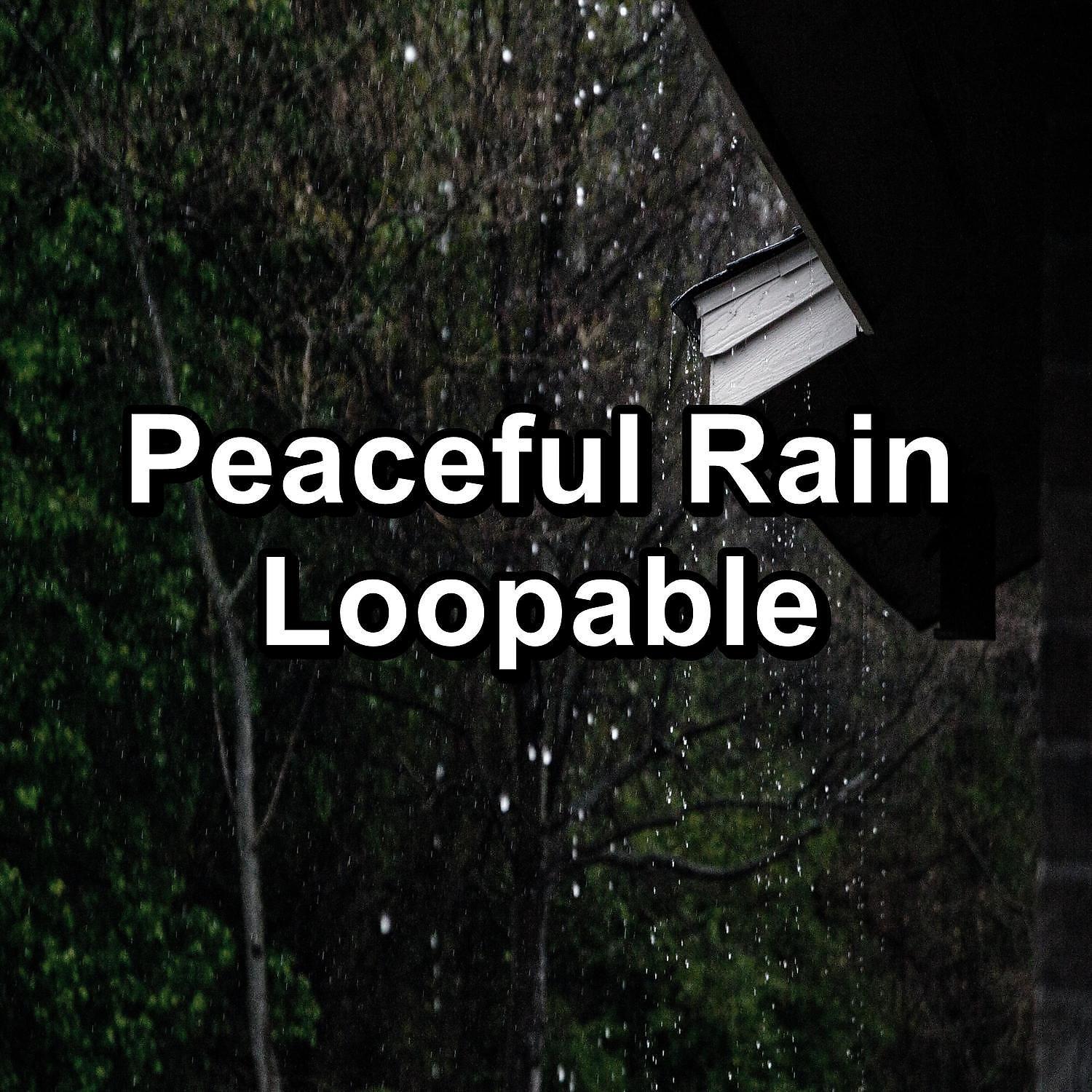 Постер альбома Peaceful Rain Loopable