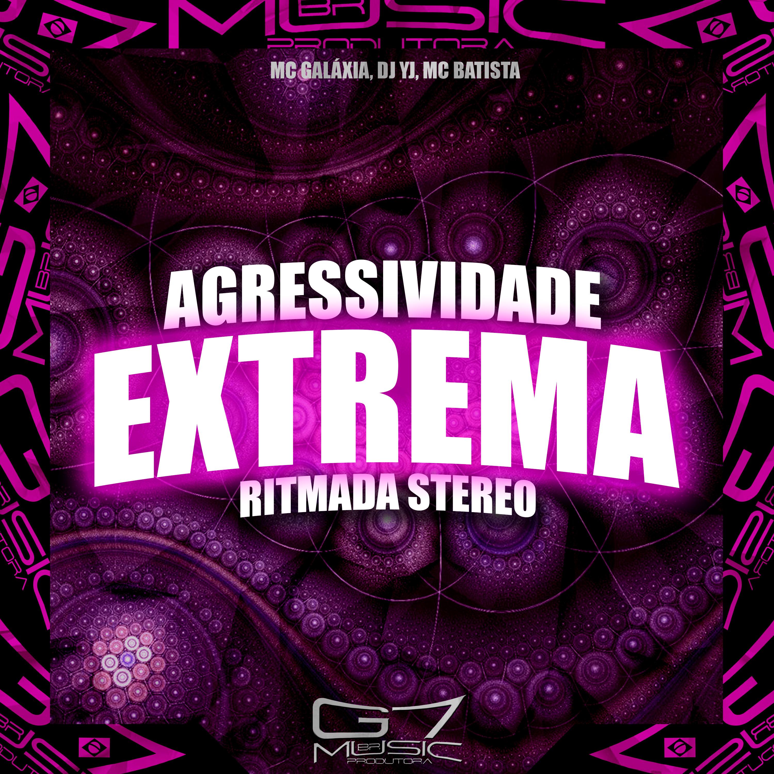Постер альбома Agressividade Extrema Ritmada Stereo