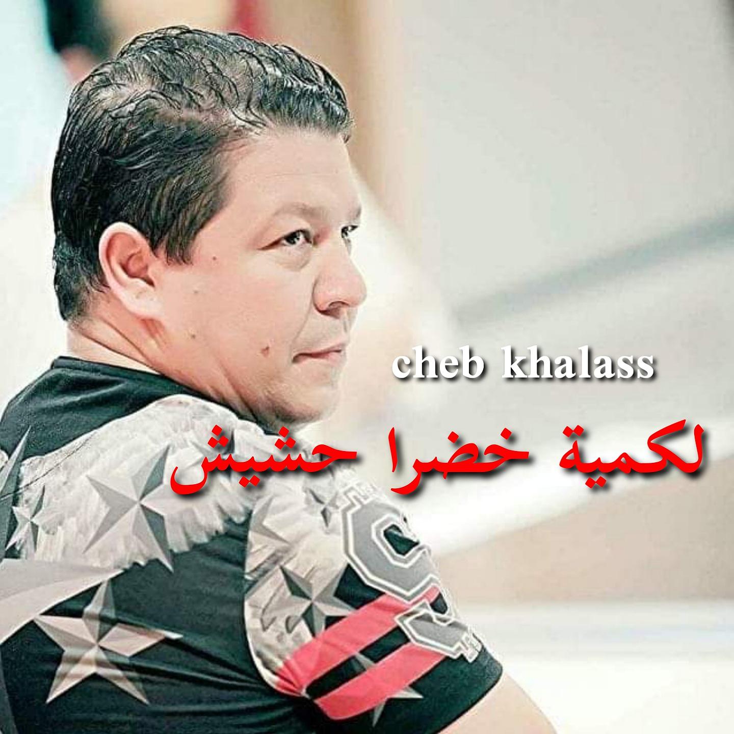Постер альбома لكمية خضرا حشيش