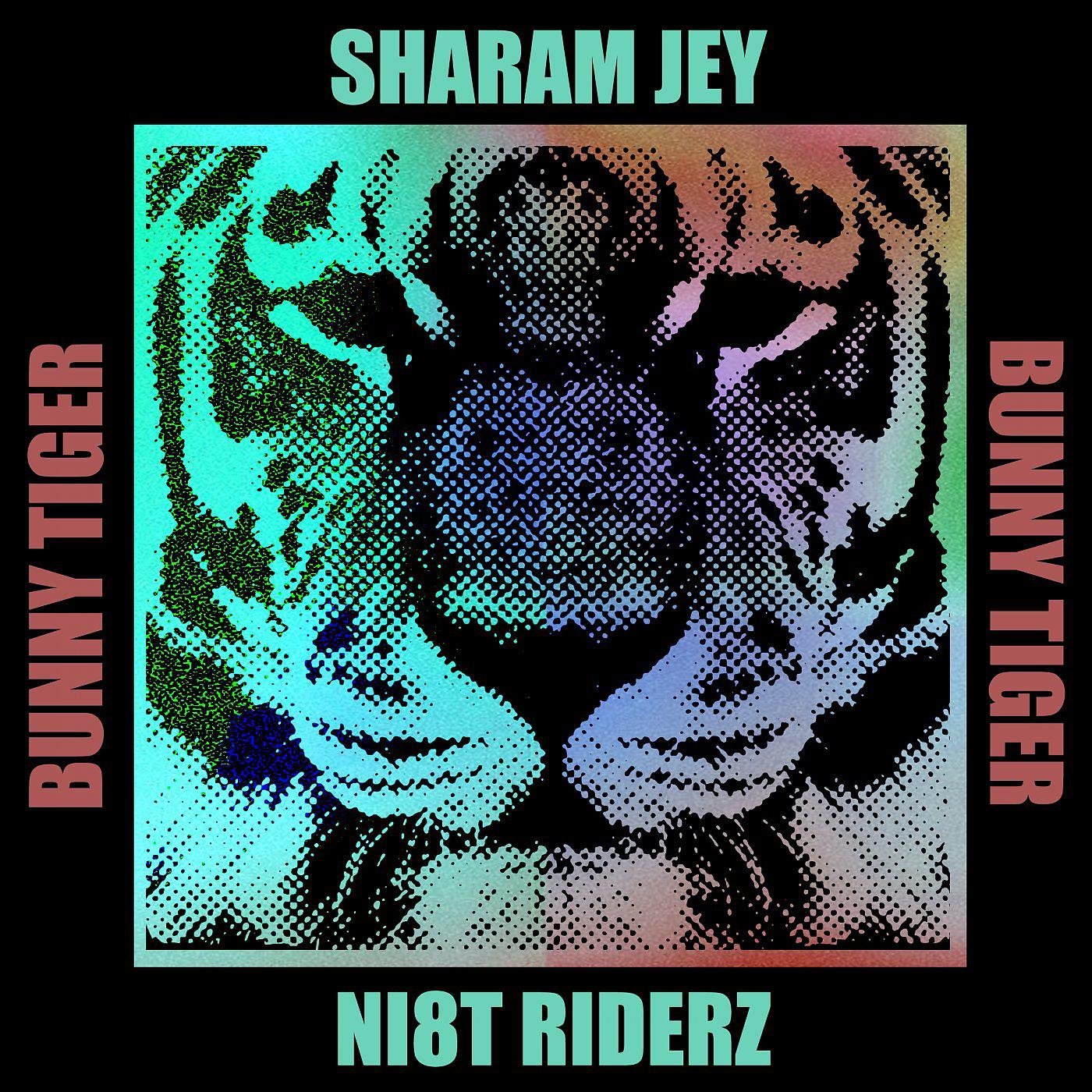 Постер альбома Ni8t Riderz