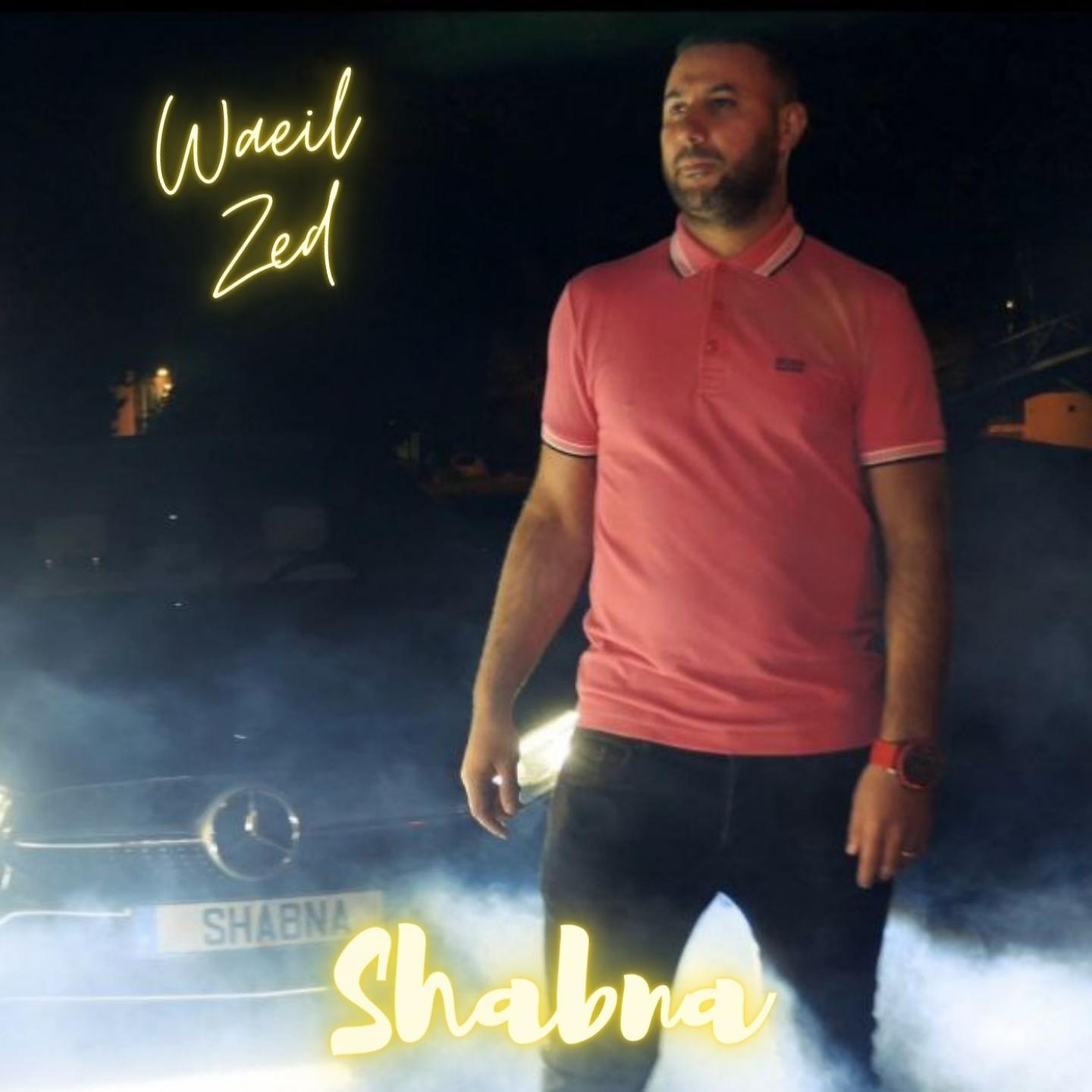 Постер альбома Shabna