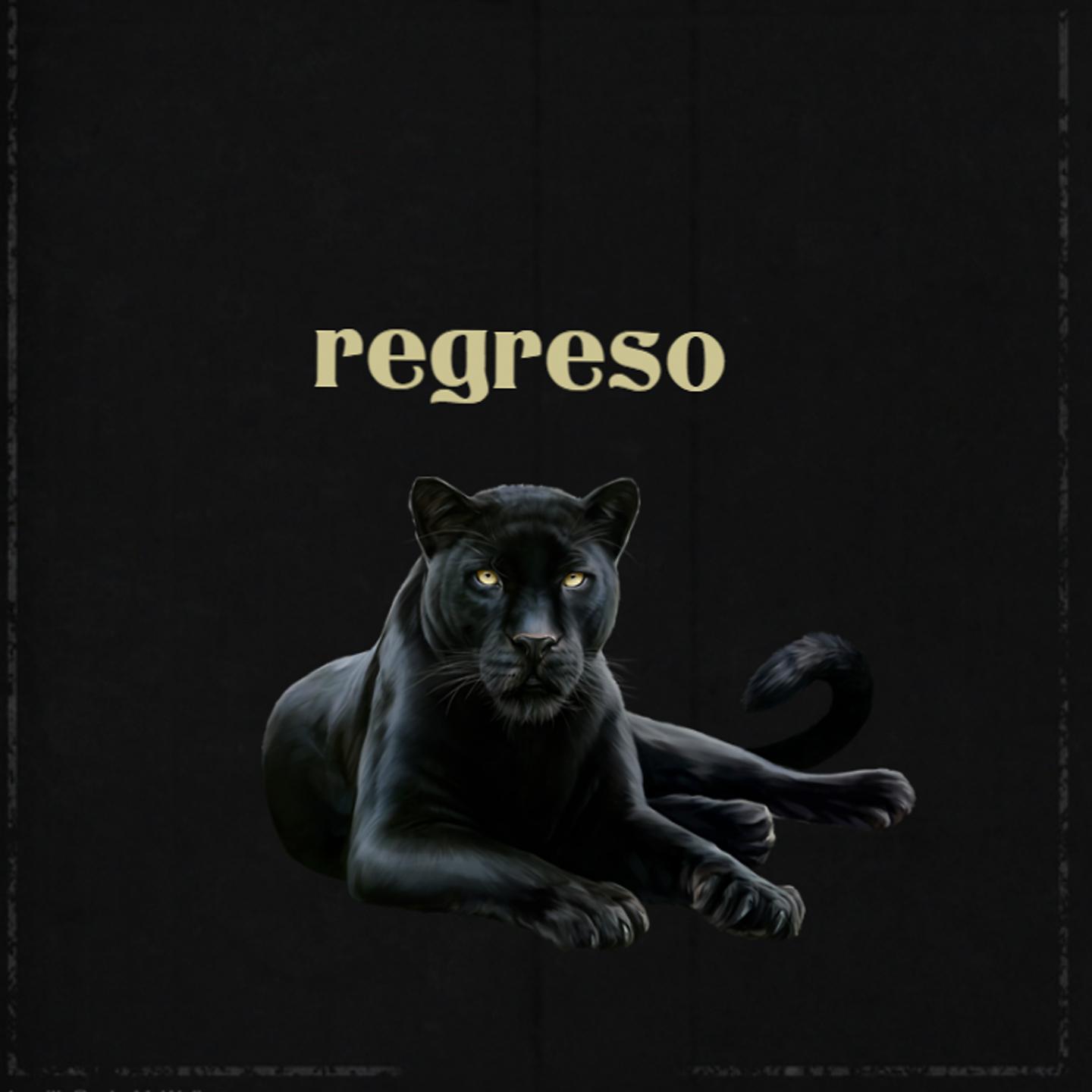 Постер альбома Regreso
