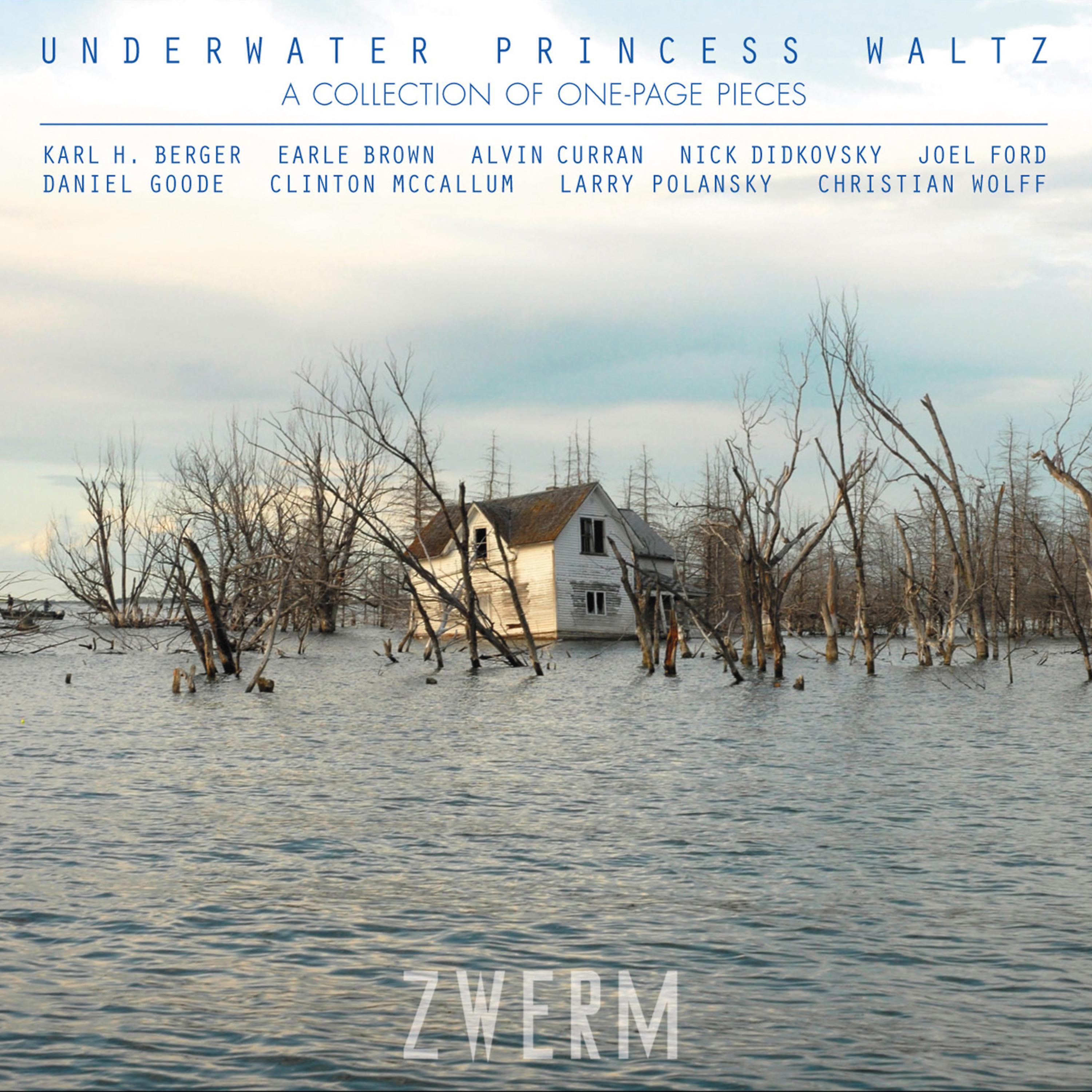 Постер альбома Underwater Princess Waltz