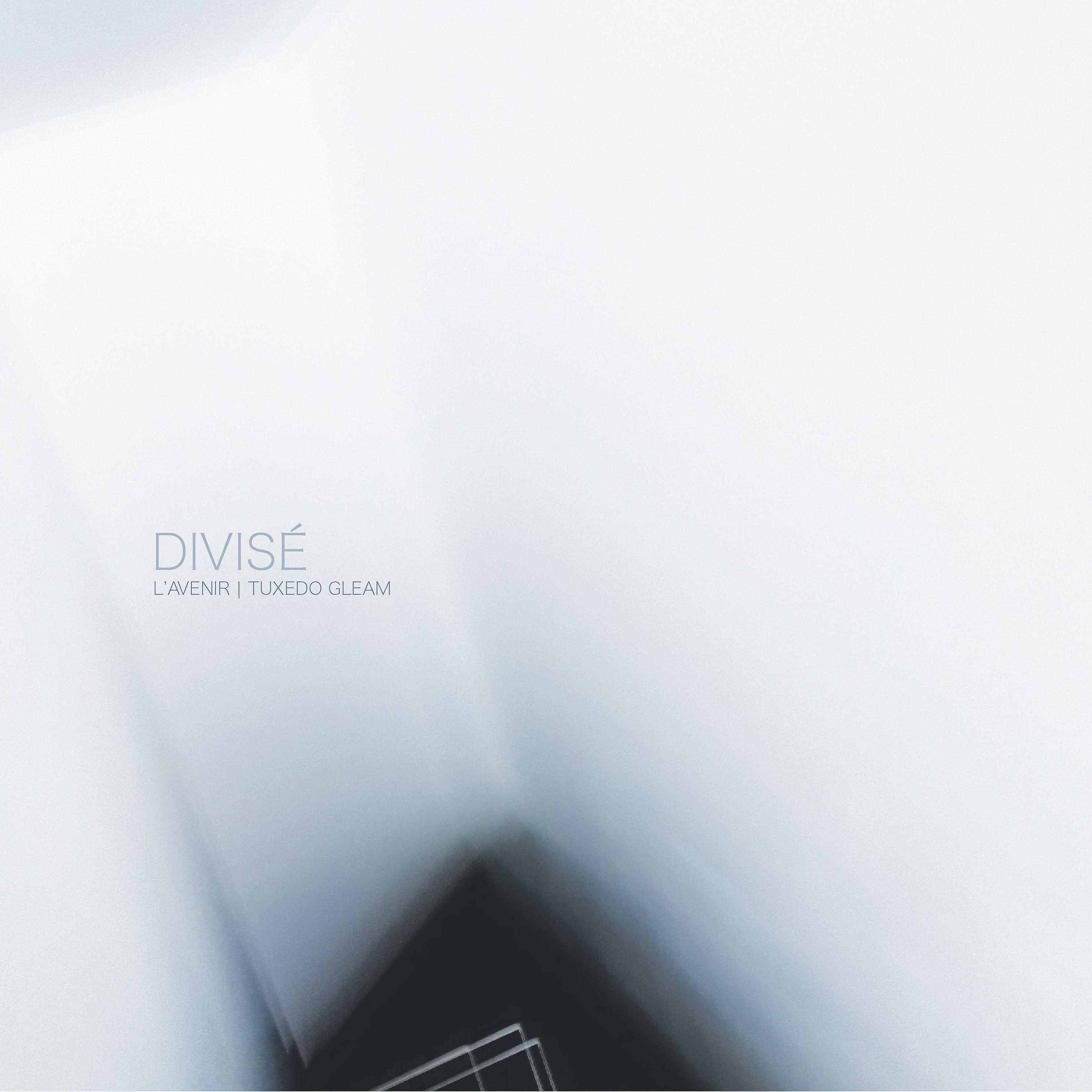 Постер альбома Divisé