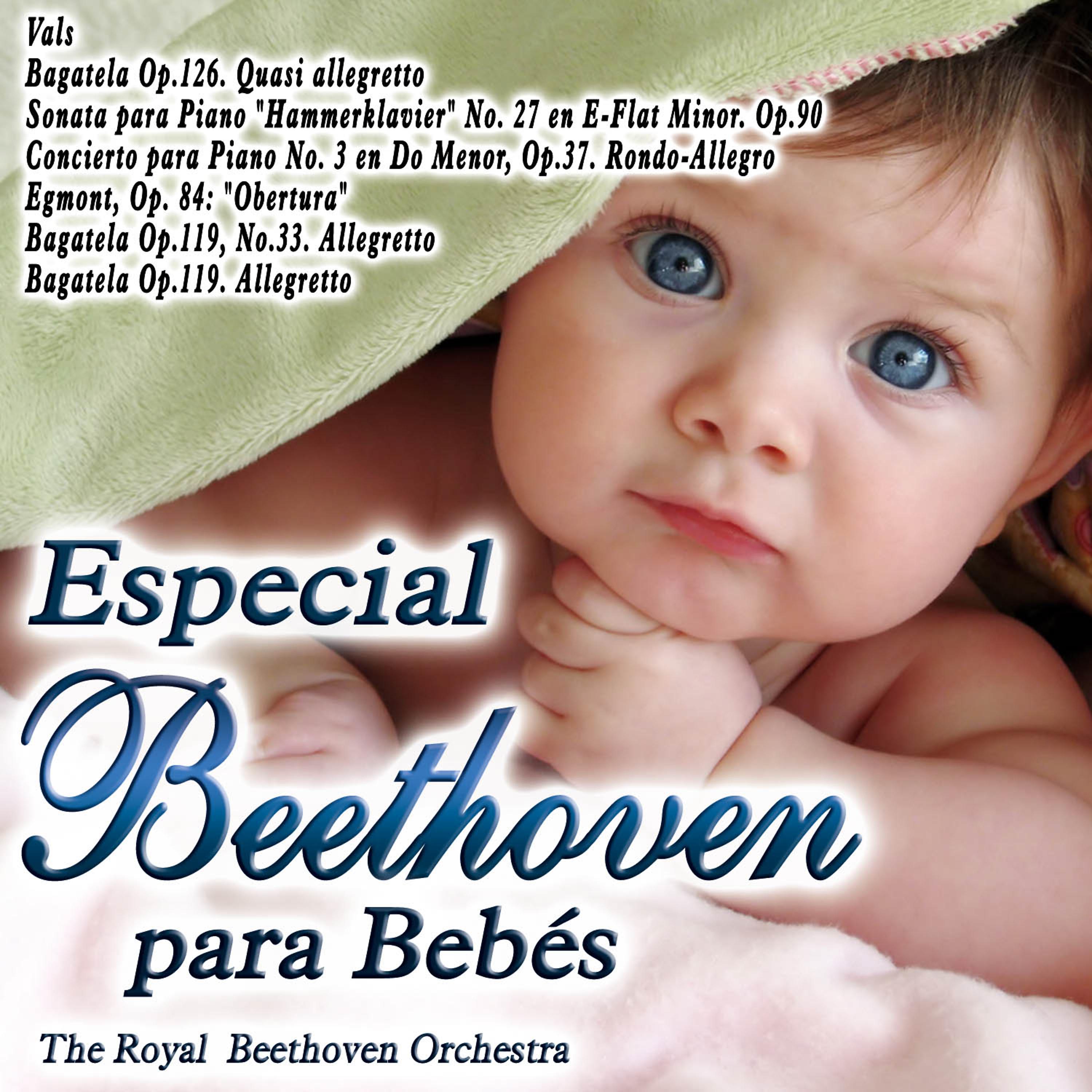 Постер альбома Especial Beethoven para Bebes