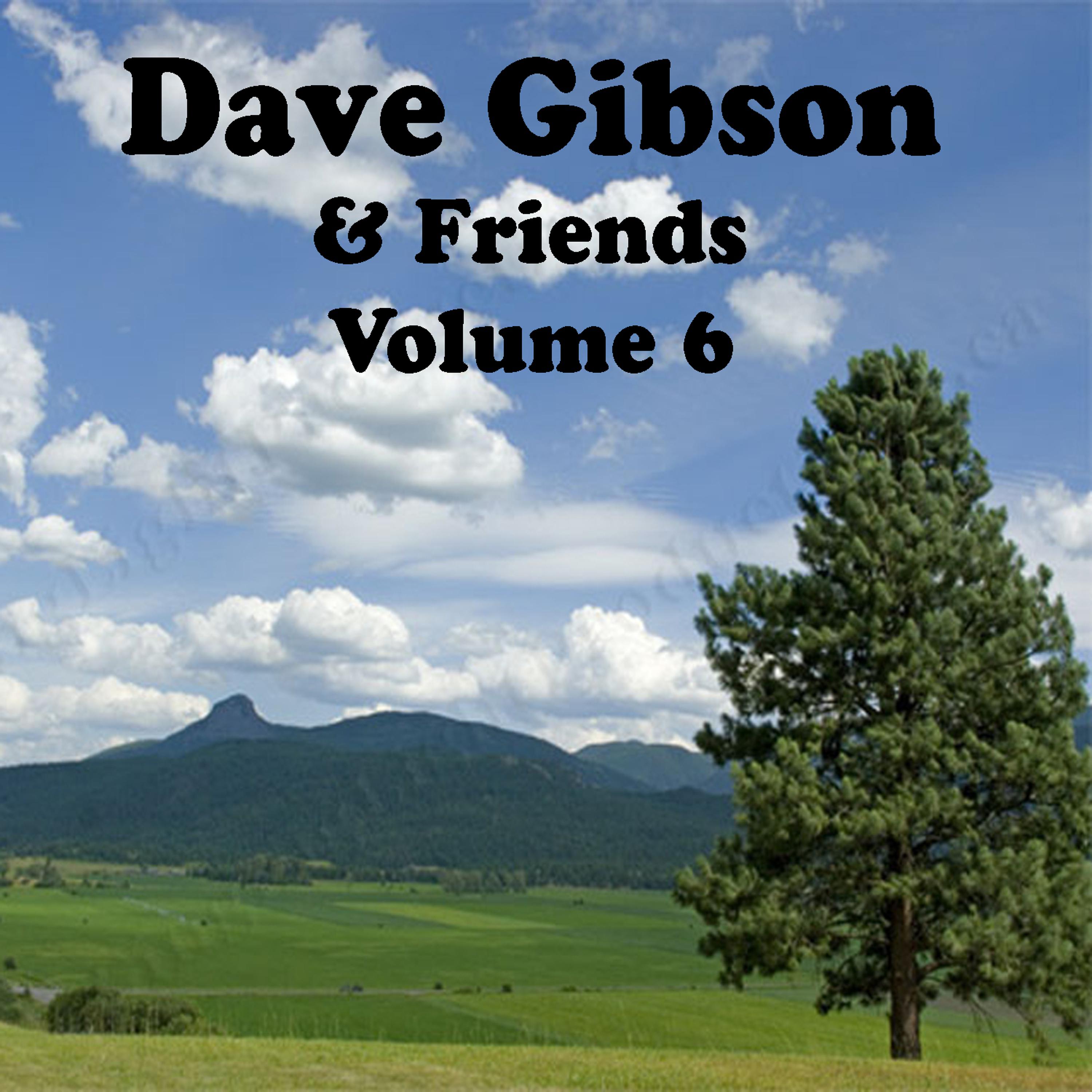 Постер альбома Dave Gibson and Friends Volume 6