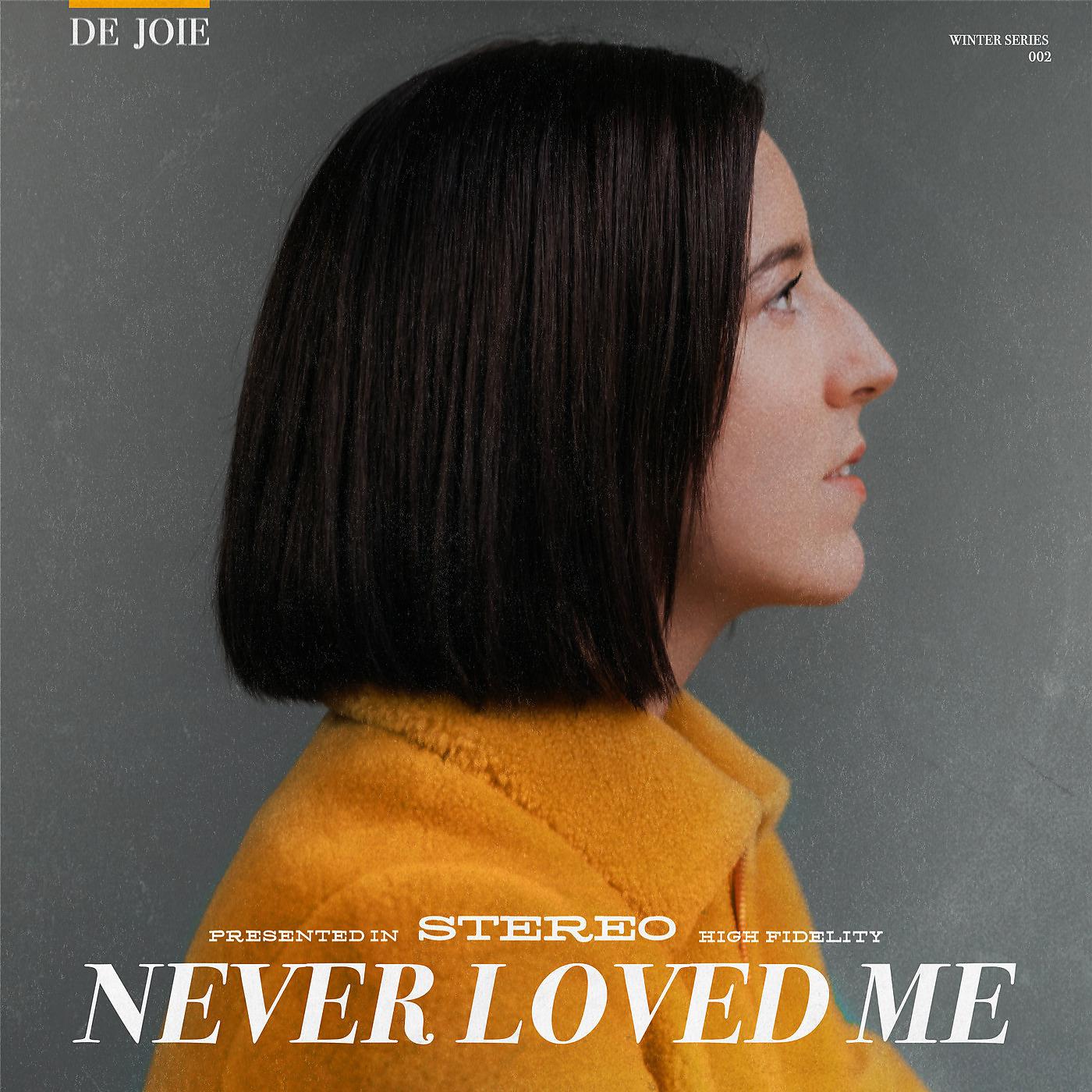 Постер альбома Never Loved Me