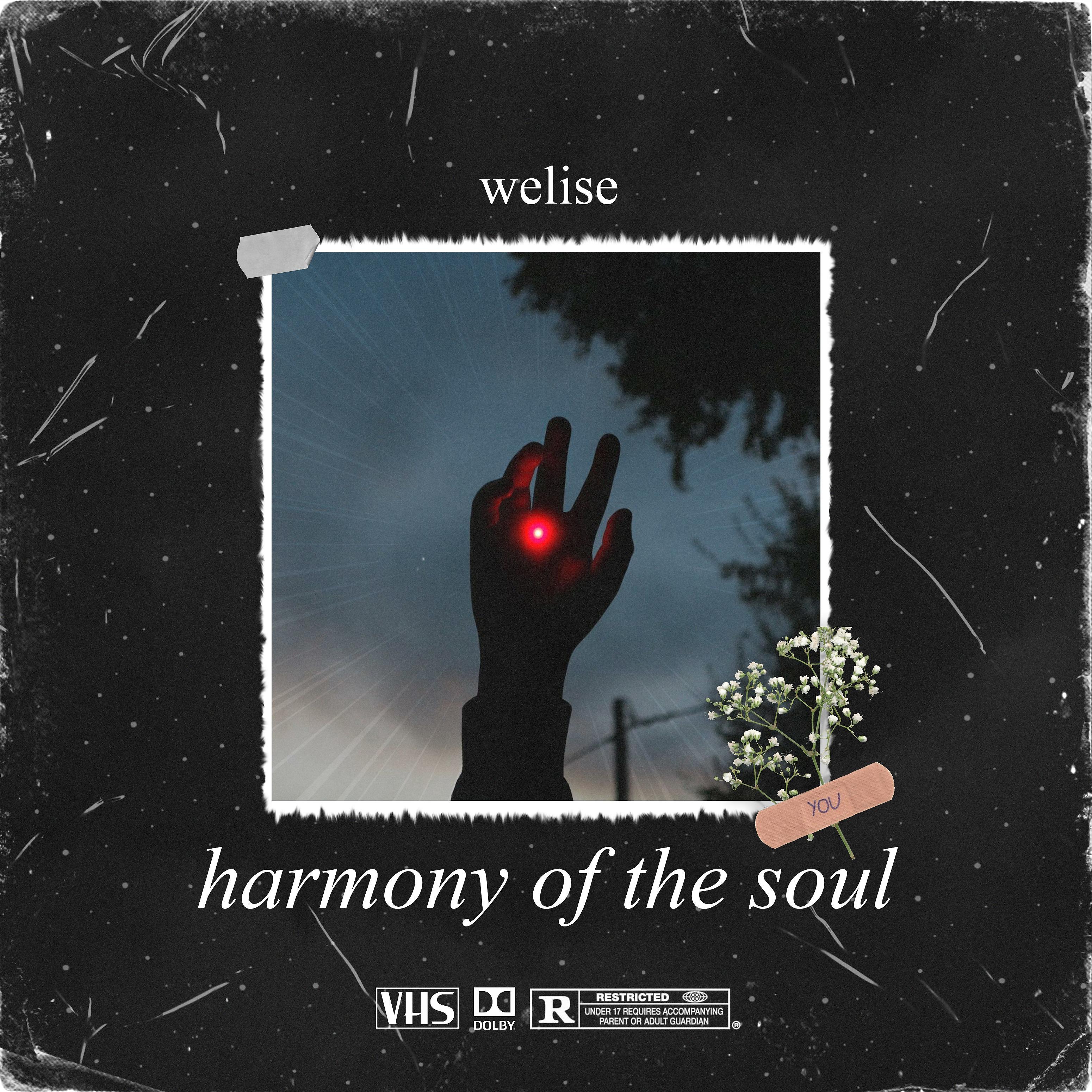 Постер альбома Harmony of the Soul